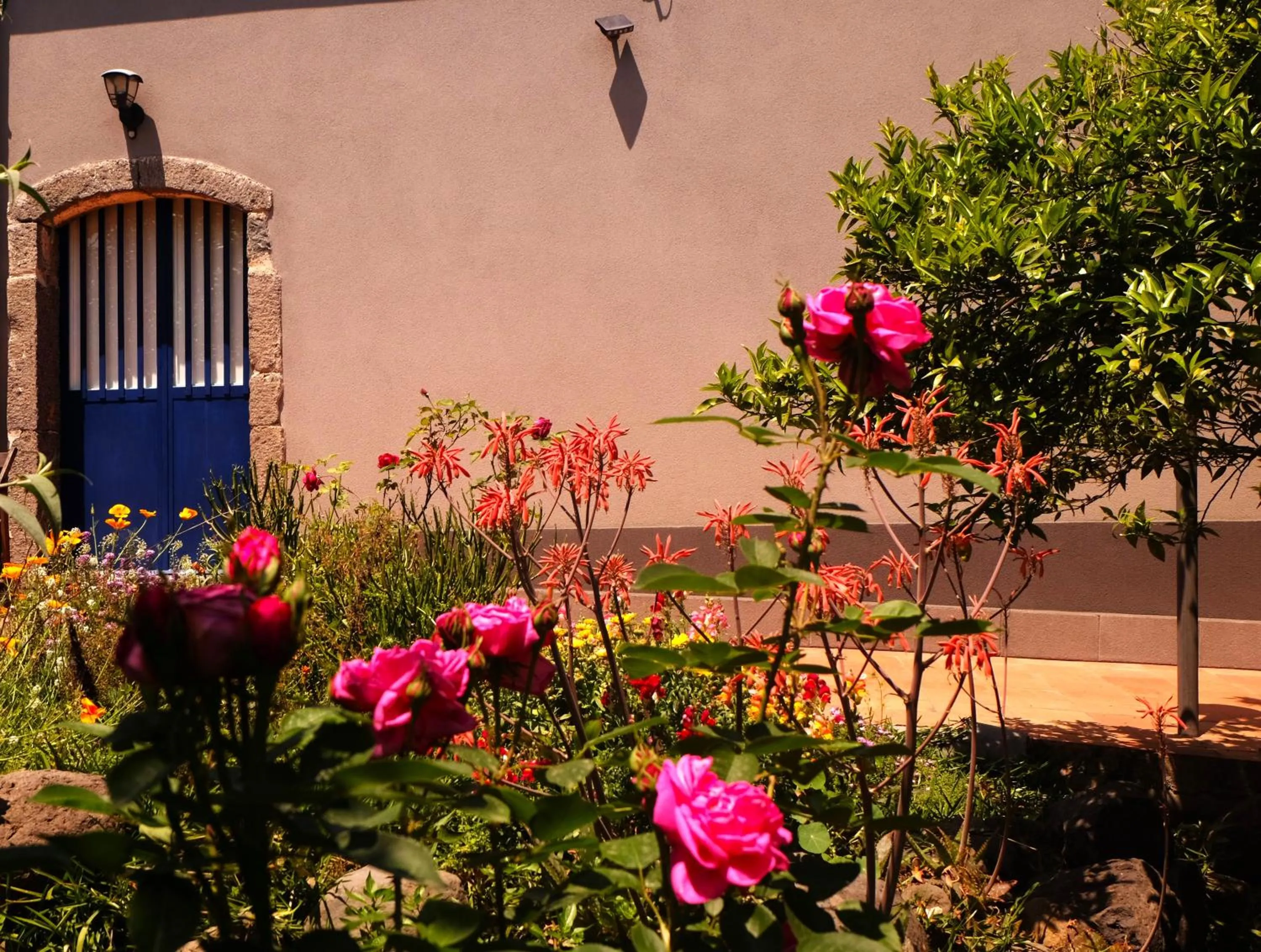 Garden view in B&B CasaNera