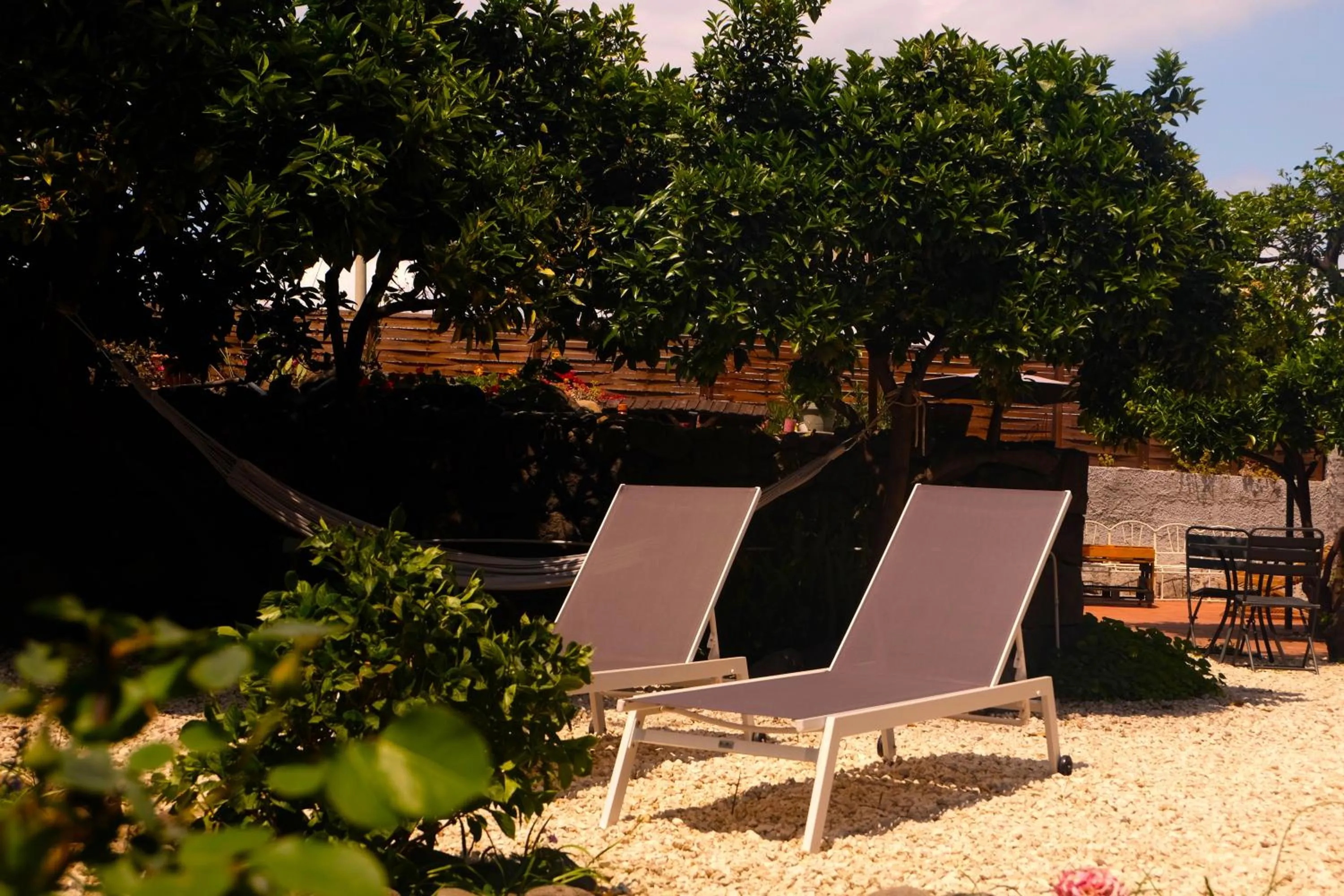 Solarium in B&B CasaNera