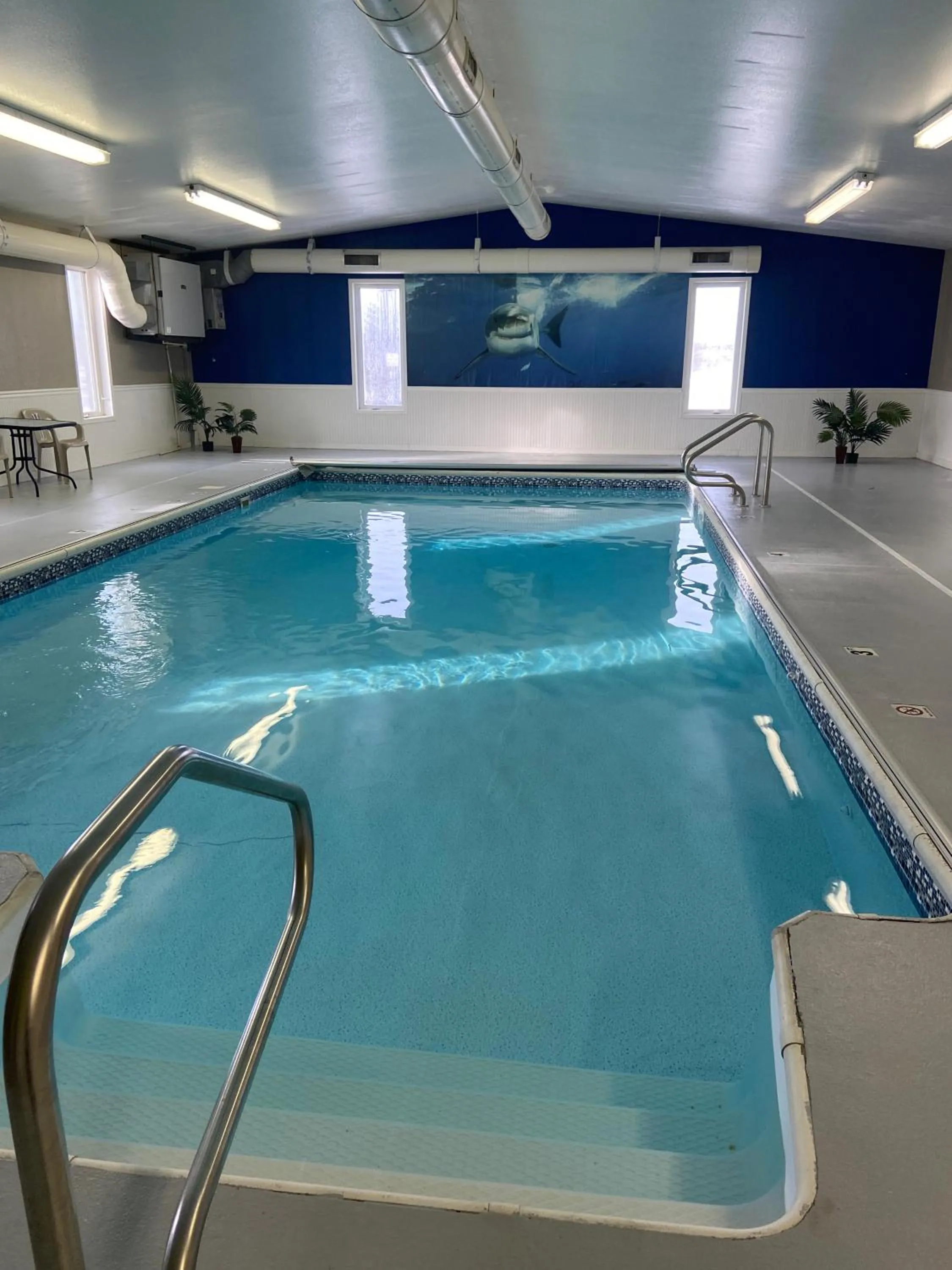 Swimming pool in FairBridge Inn & Suites Williston