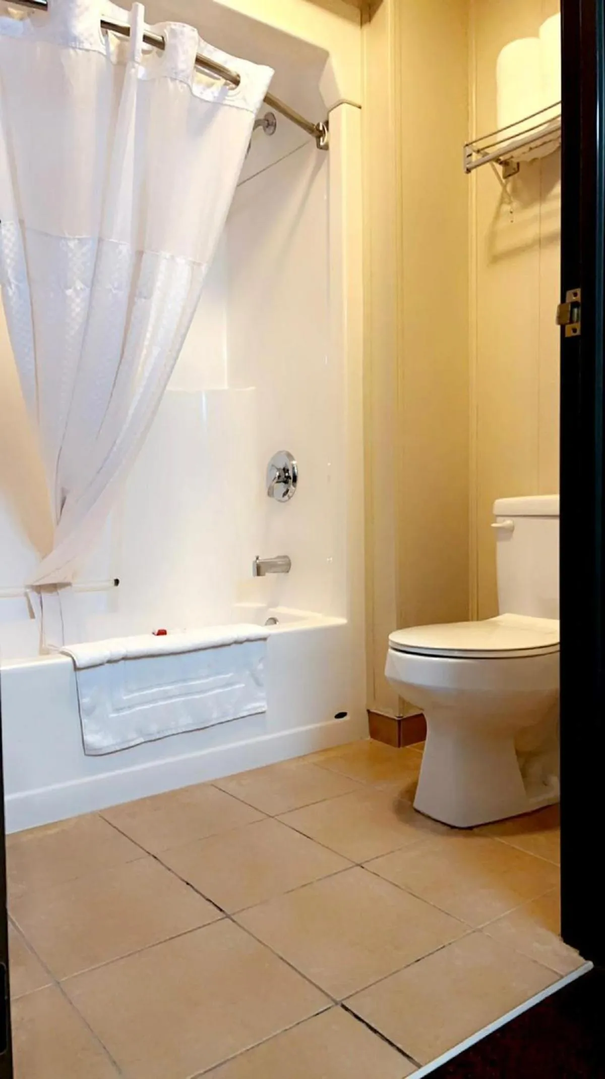 Bathroom in FairBridge Inn & Suites Williston