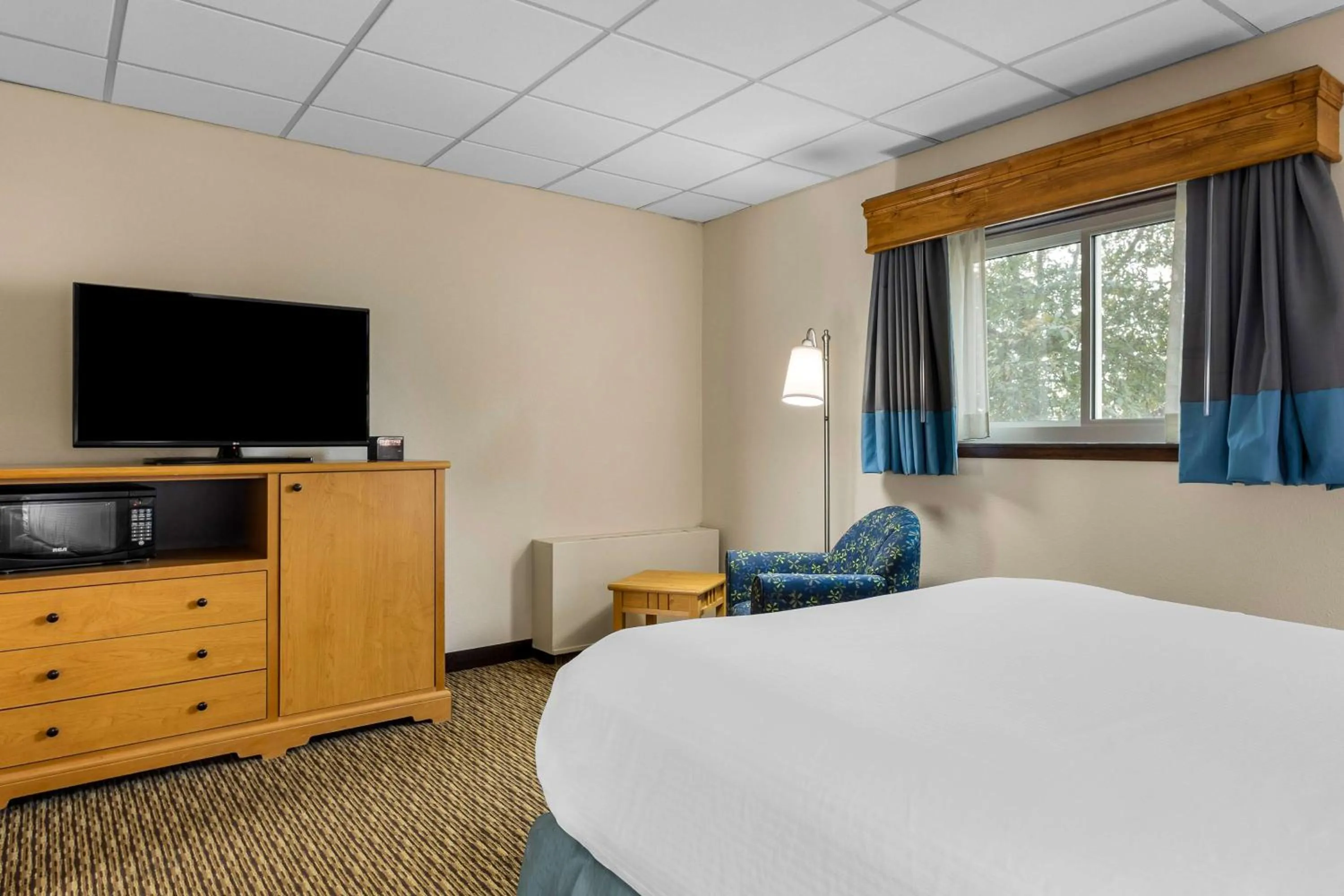 Photo of the whole room, Bed in Best Western Lee's Motor Inn