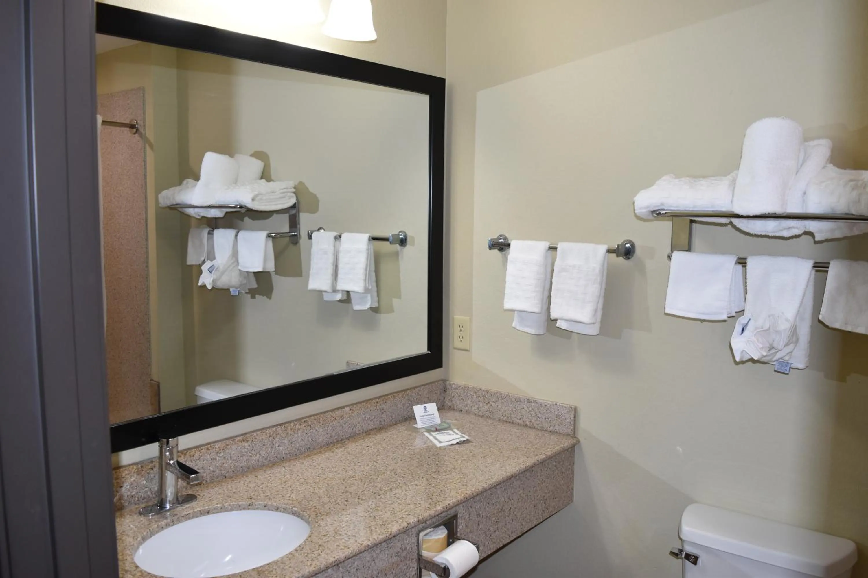 Bathroom in Best Western Oasis Inn