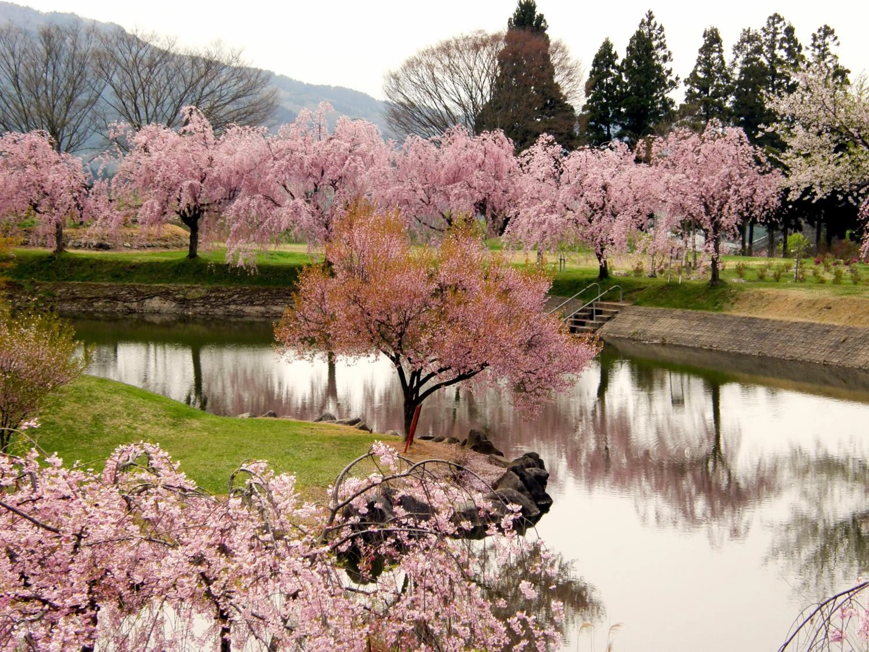 Historical Ryokan SENYUKAN