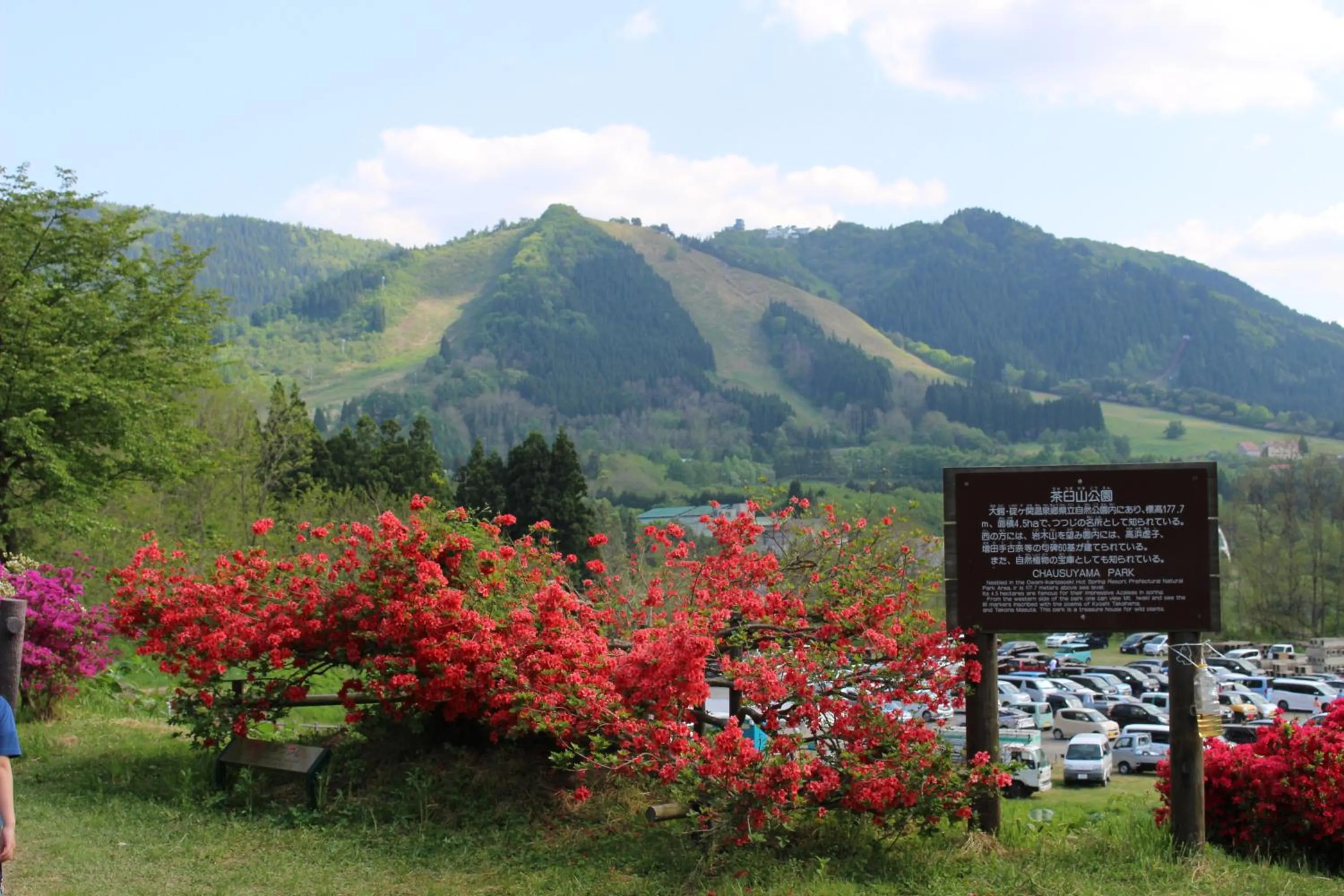 Mountain view in Historical Ryokan SENYUKAN