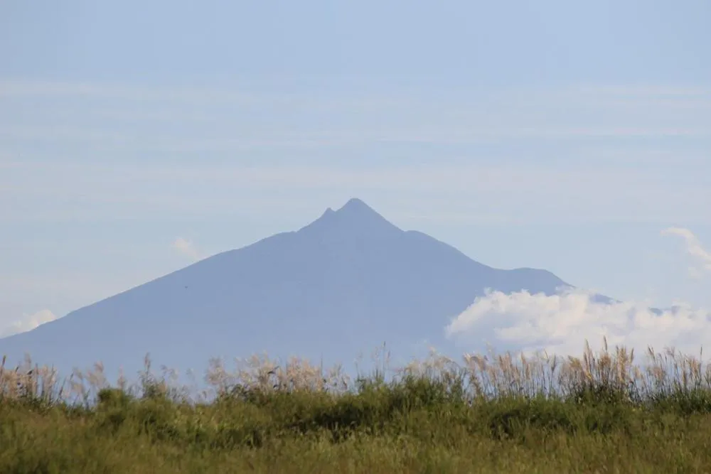 Historical Ryokan SENYUKAN