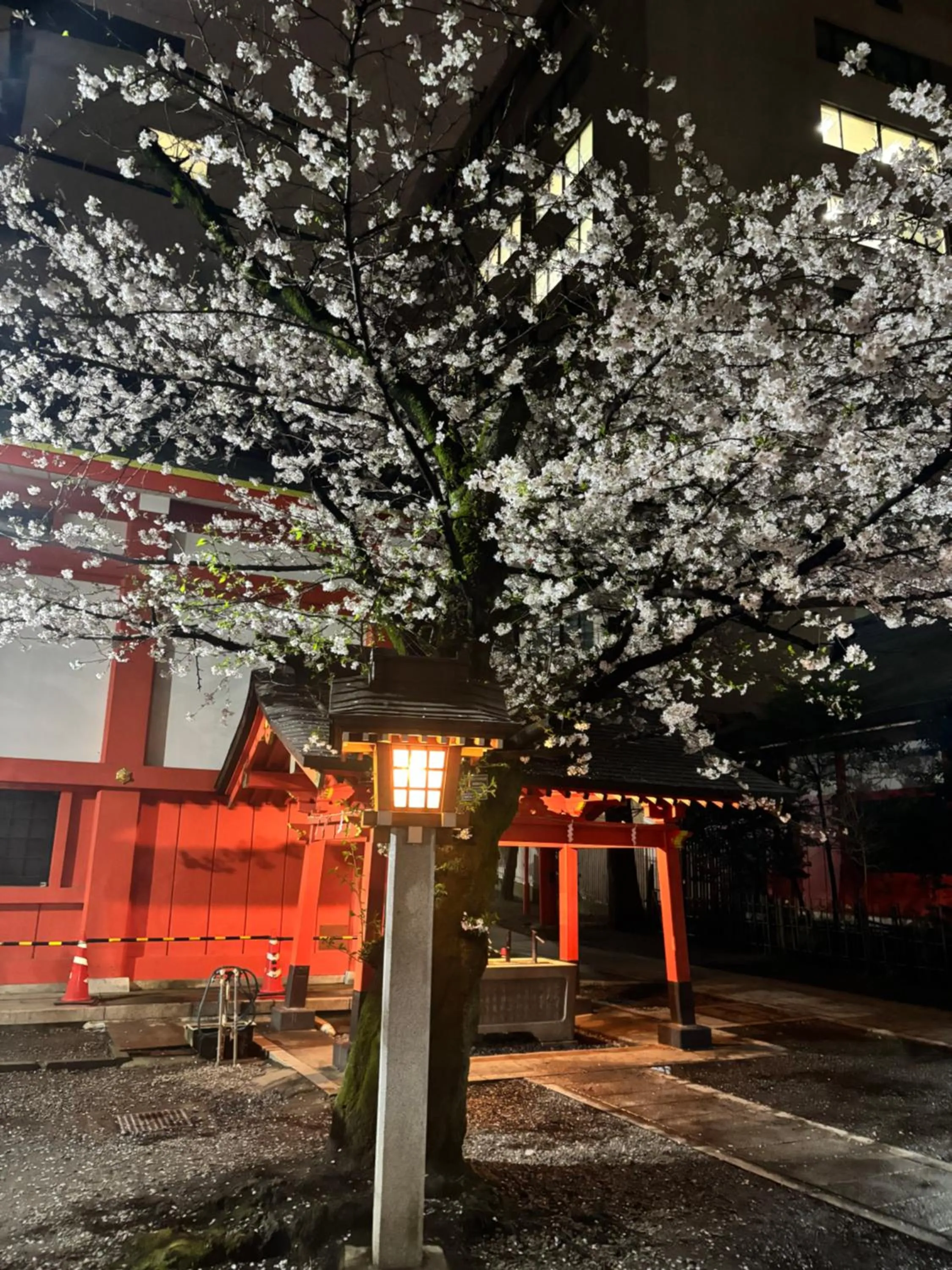 City Hotel Southern Cross