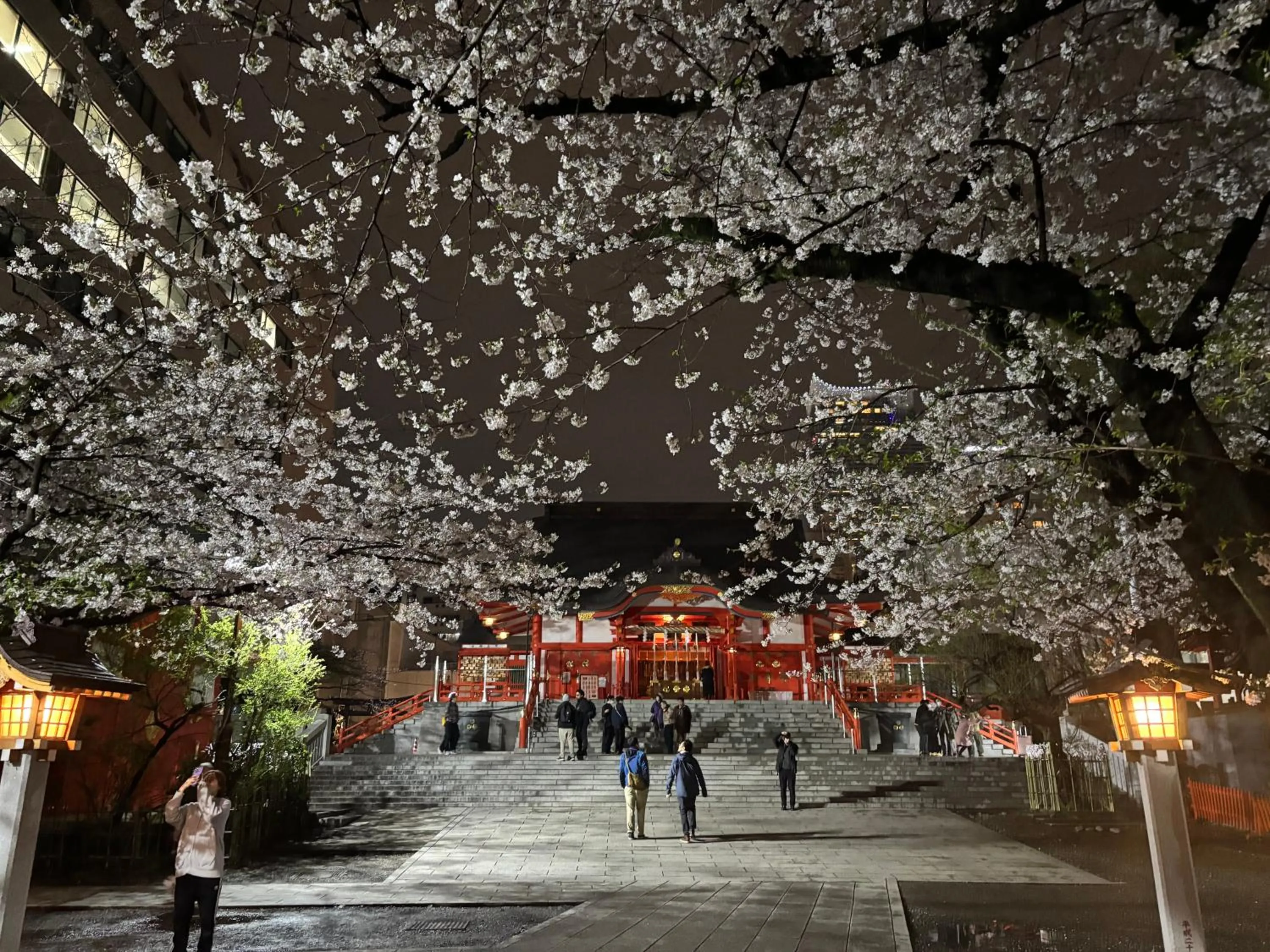 City Hotel Southern Cross