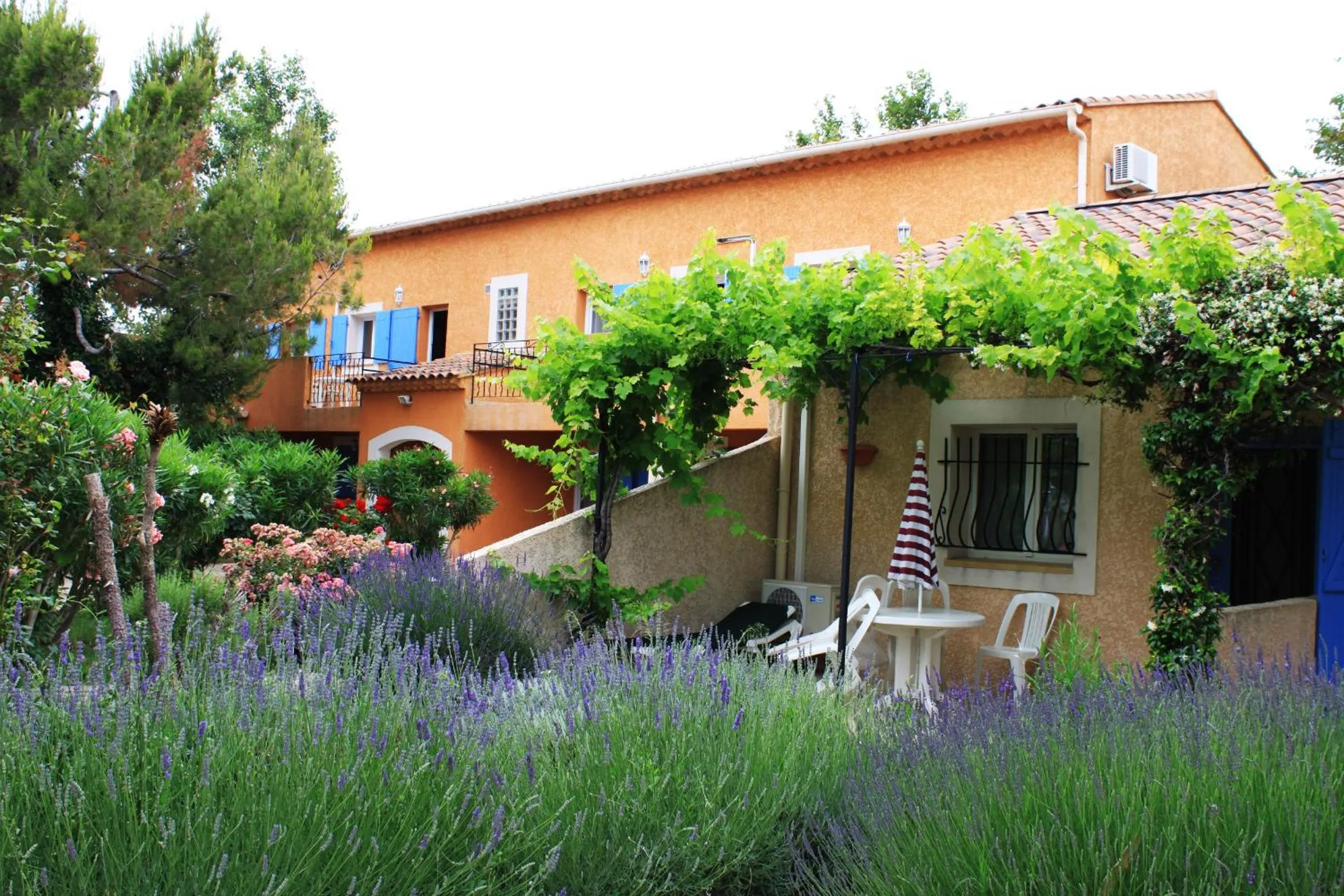 Garden in Appart'Hotel Festival Sud Suites - Avignon TGV