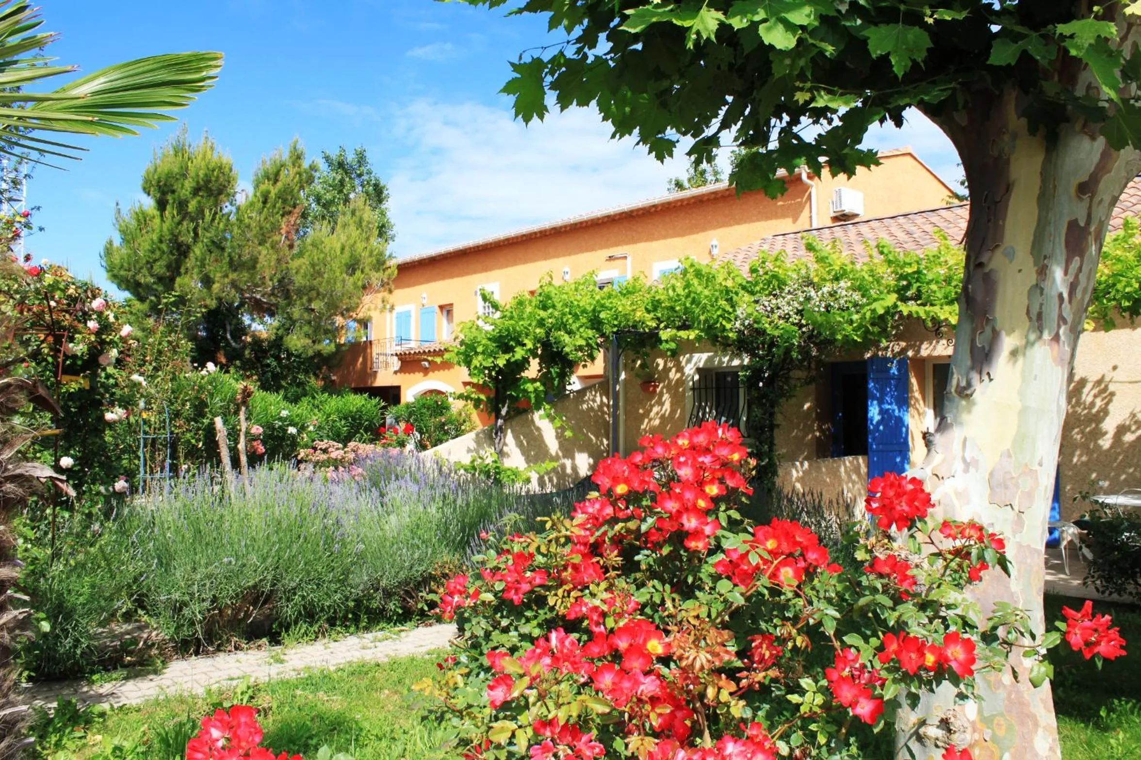 Garden in Appart'Hotel Festival Sud Suites - Avignon TGV