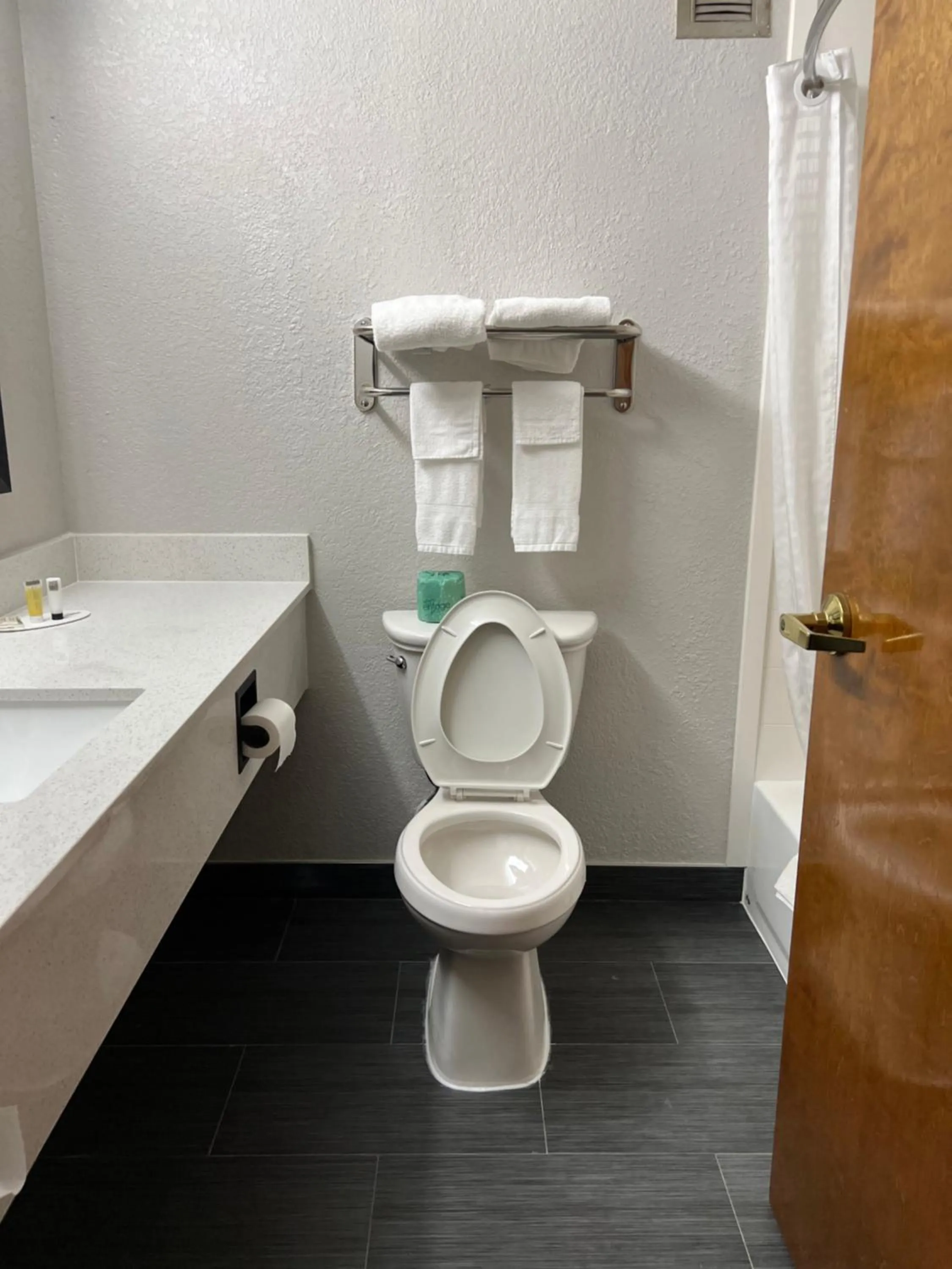 View (from property/room) in Super 8 by Wyndham Clemmons - Bermuda Run - Winston-Salem I-40