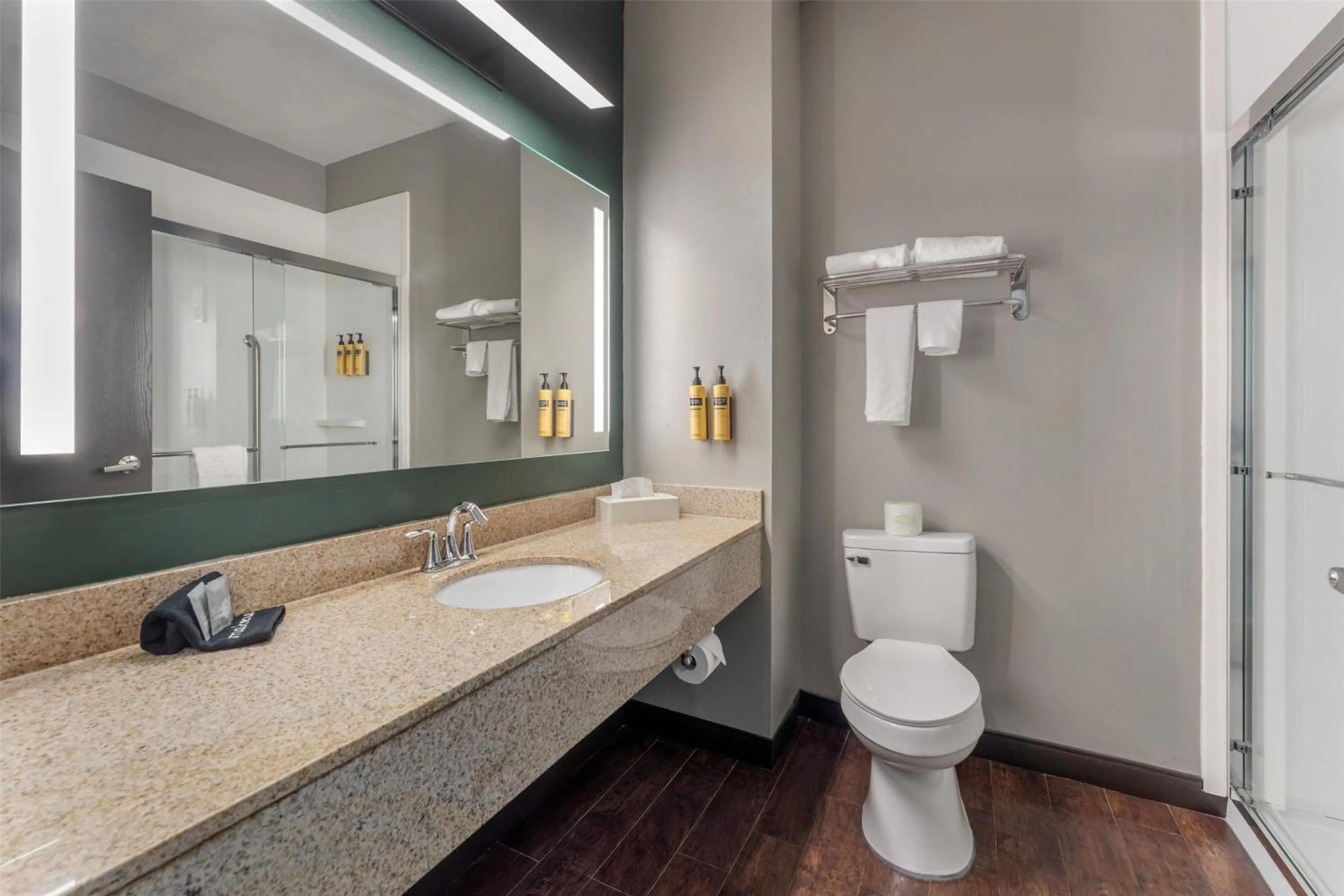 Bathroom in Best Western PLUS Executive Inn