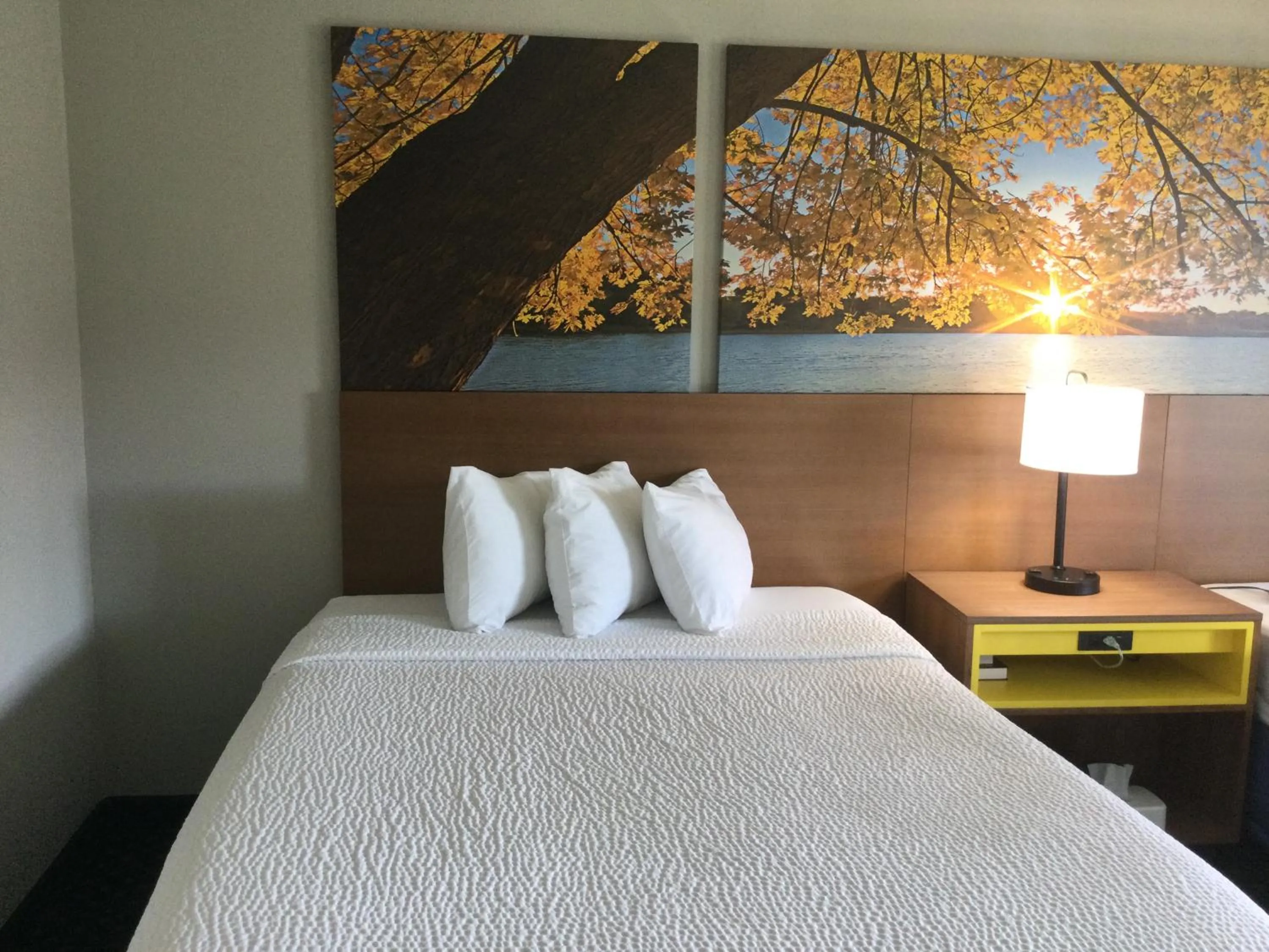 Bed in Days Inn by Wyndham International Falls