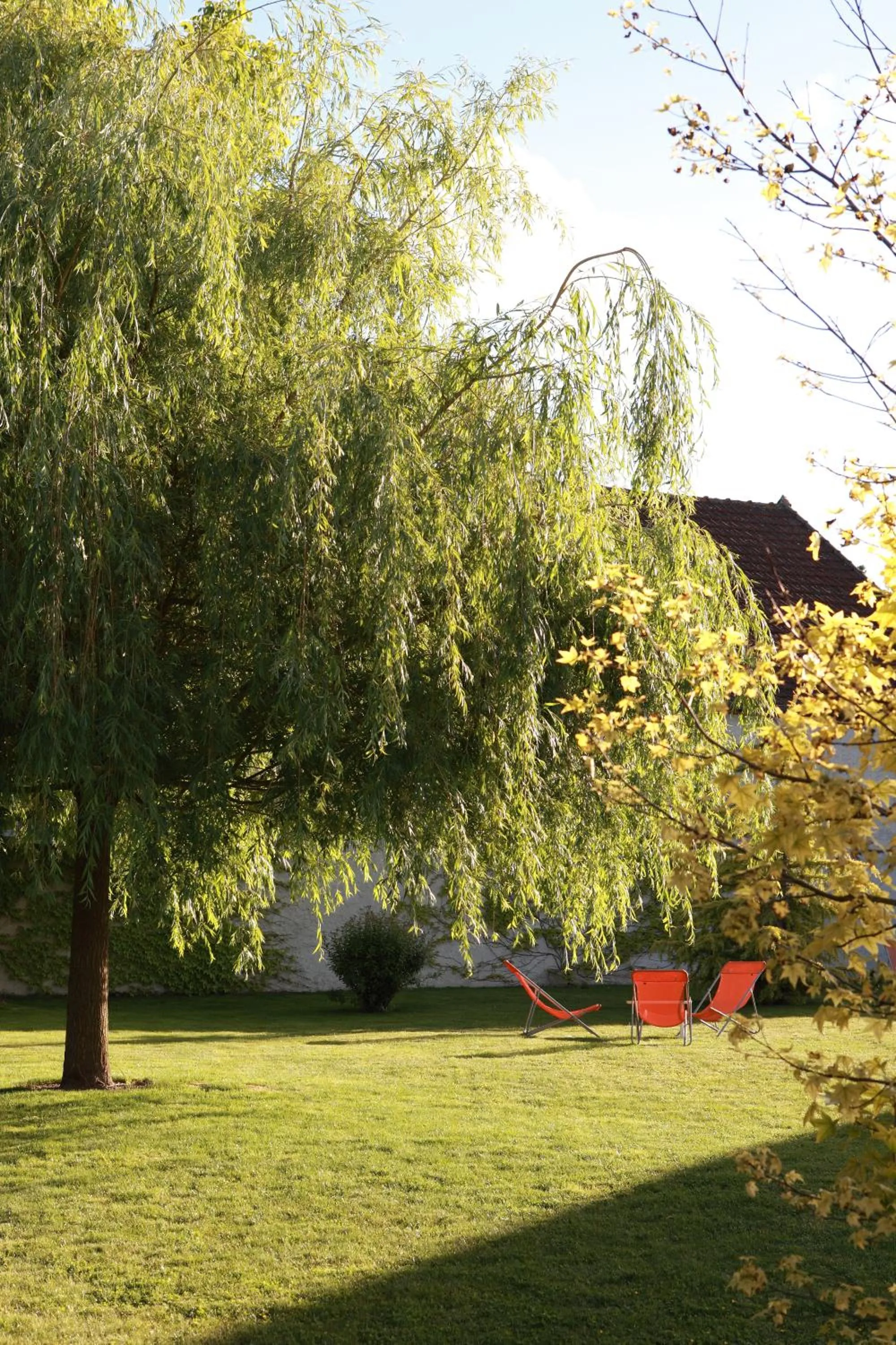 Garden in Hotel l'Orée Des Vignes