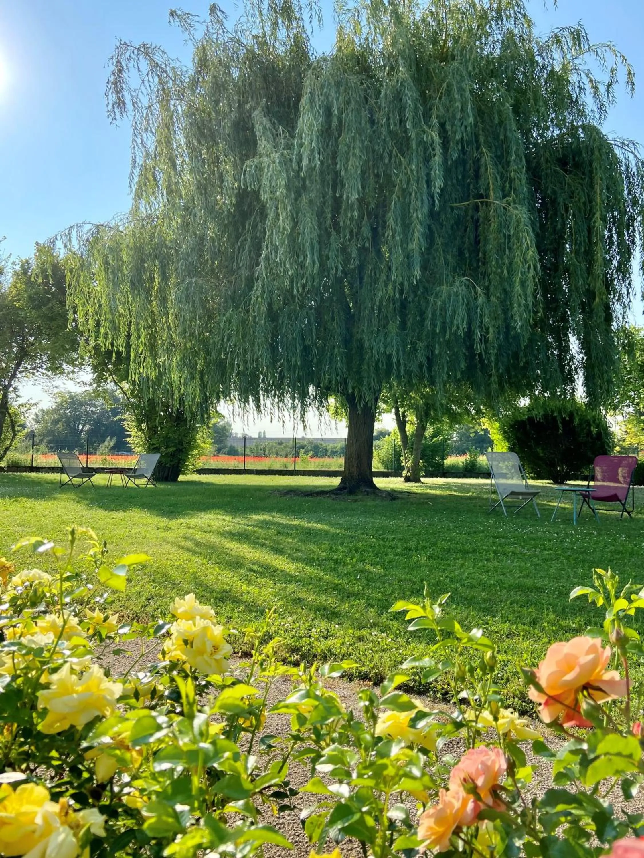 Garden view in Hotel l'Orée Des Vignes