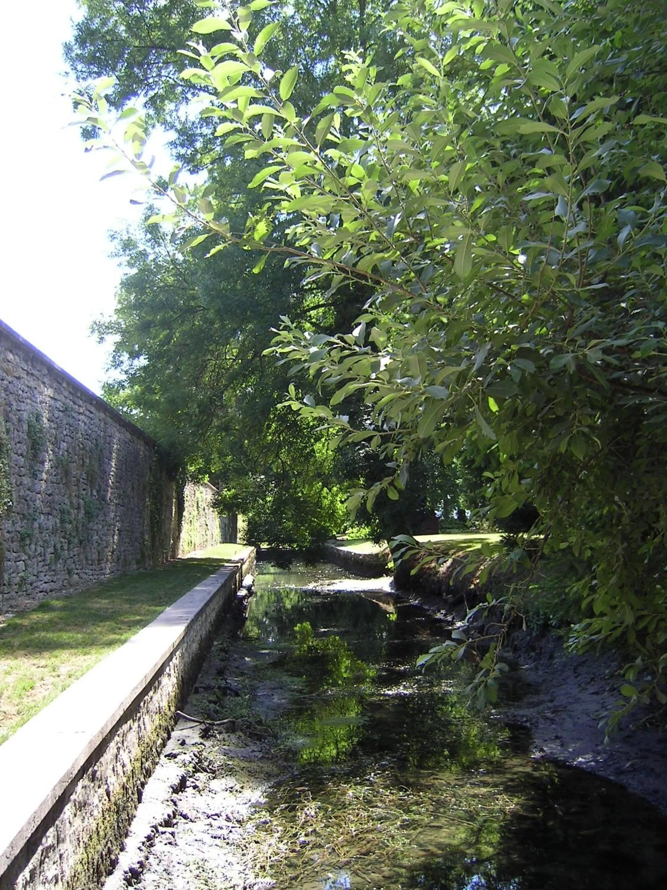 Area and facilities in Hotel l'Orée Des Vignes