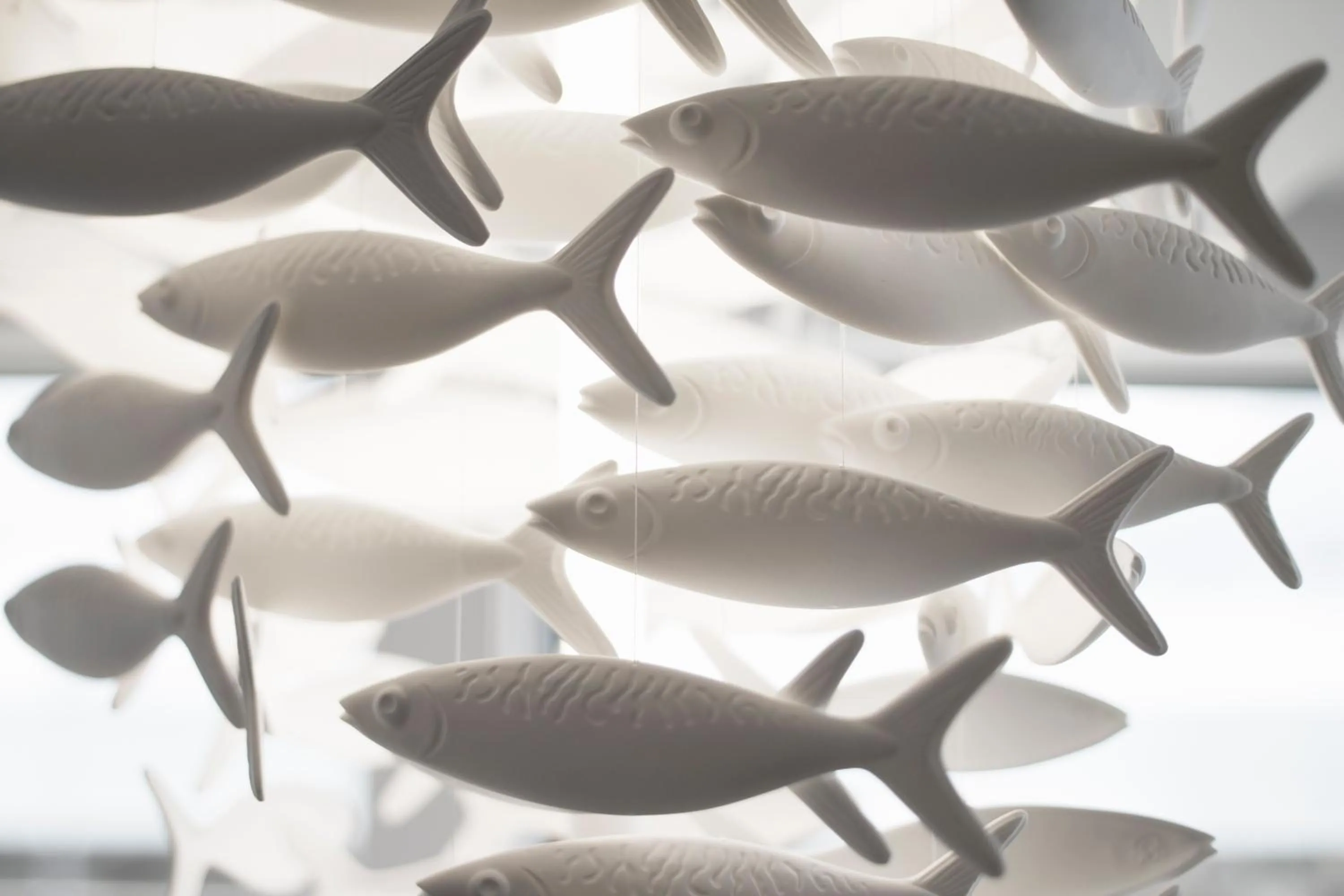 Decorative detail in Oceania Saint Malo