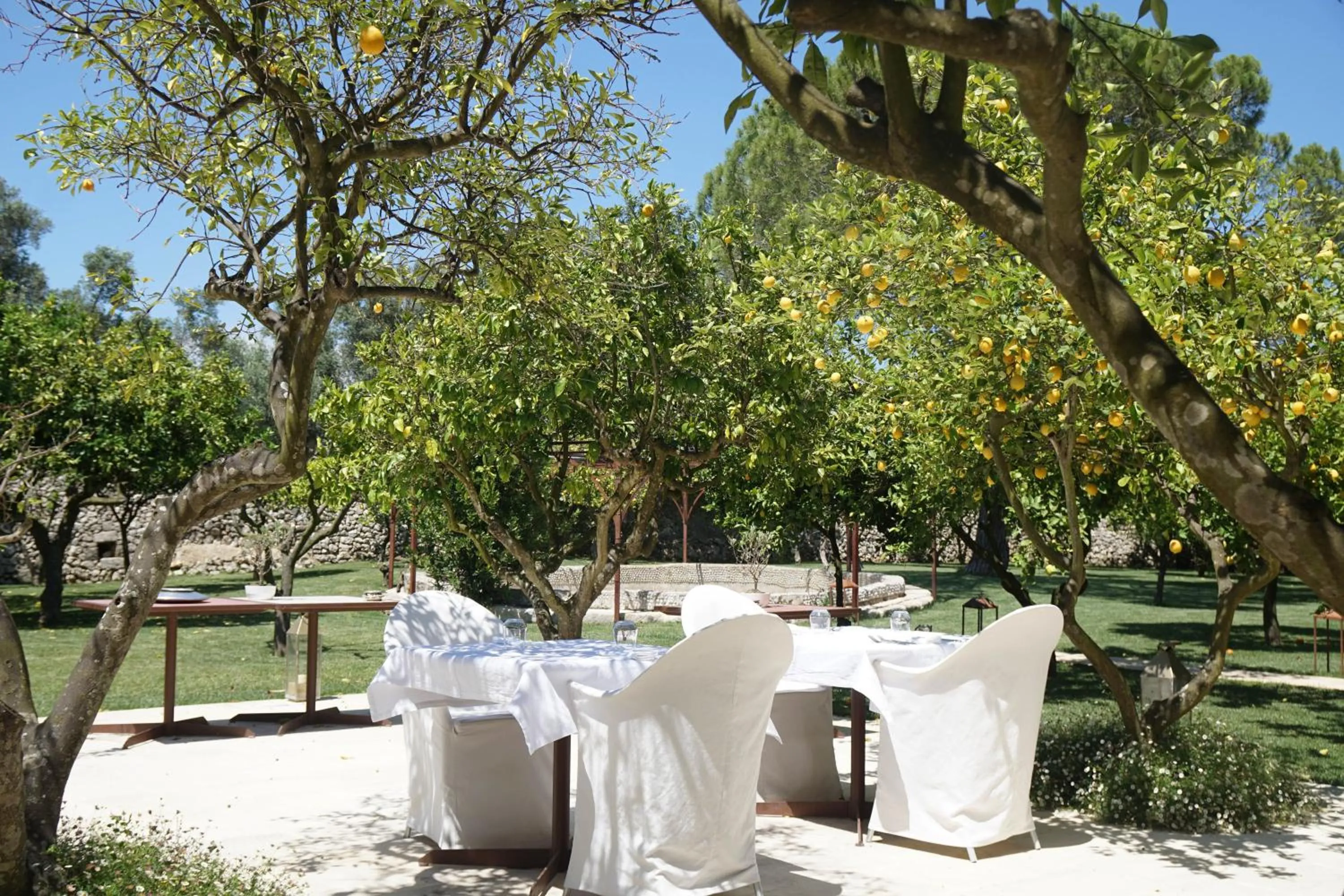 Restaurant/places to eat in Masseria Trapana