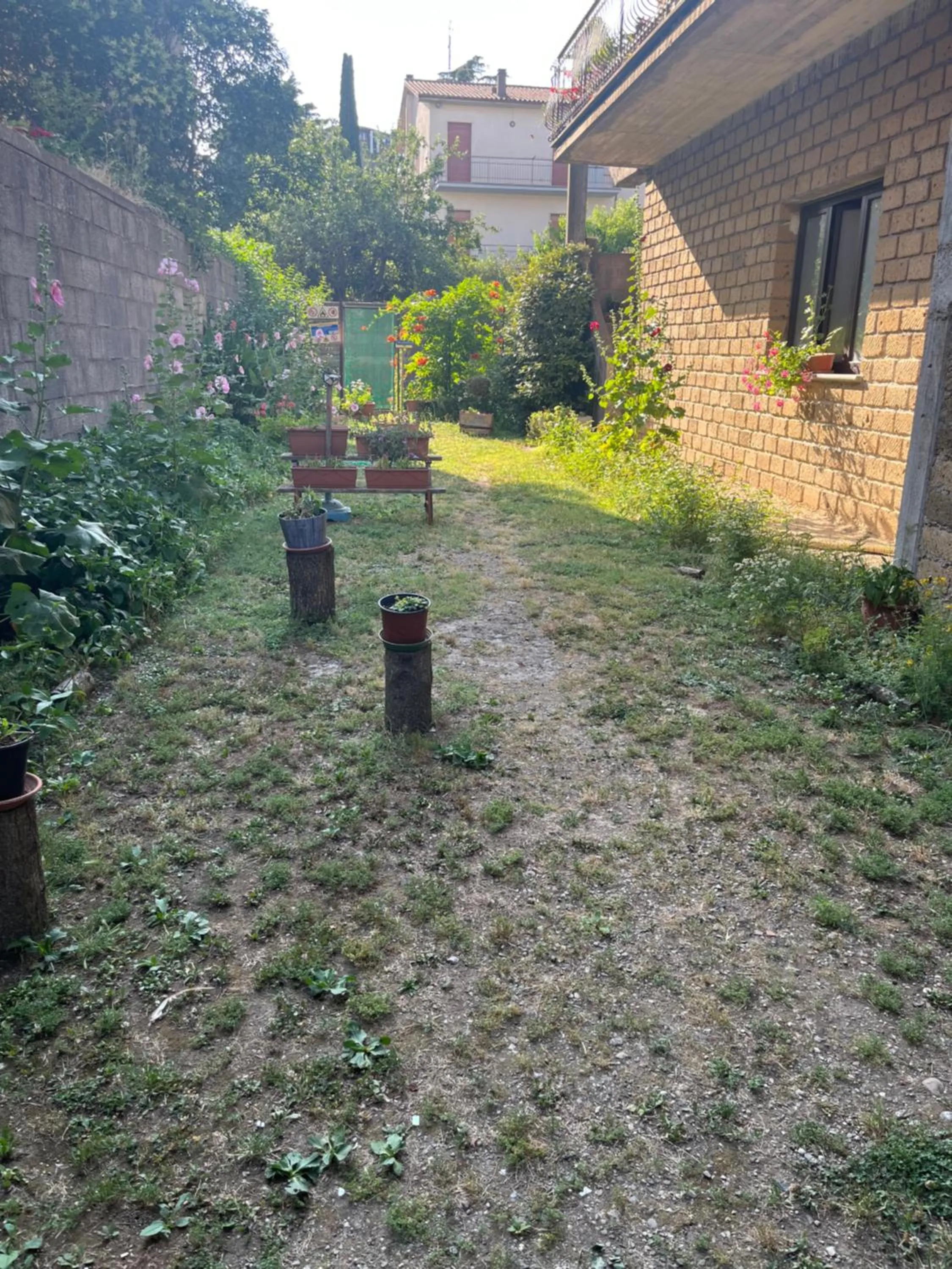 Garden view in B&B SAN FRANCESCO