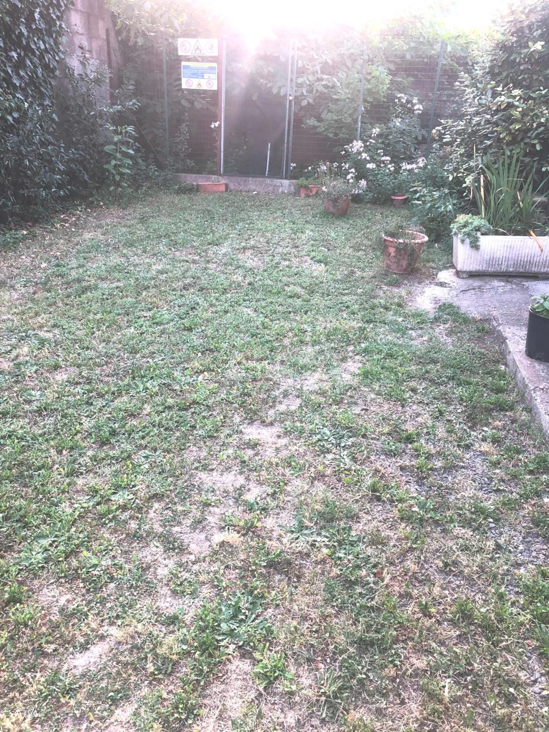 Garden view in B&B SAN FRANCESCO