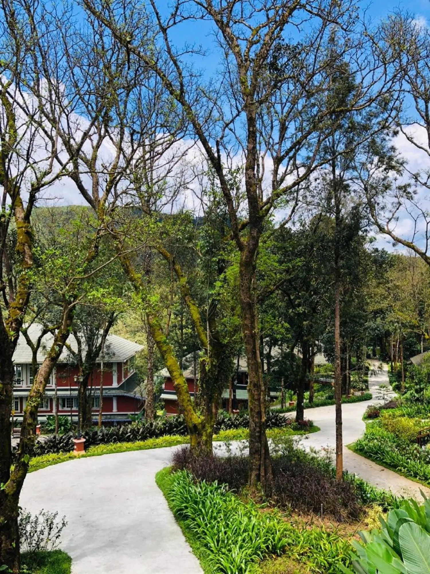 Other in Coorg Wilderness Resort & Spa