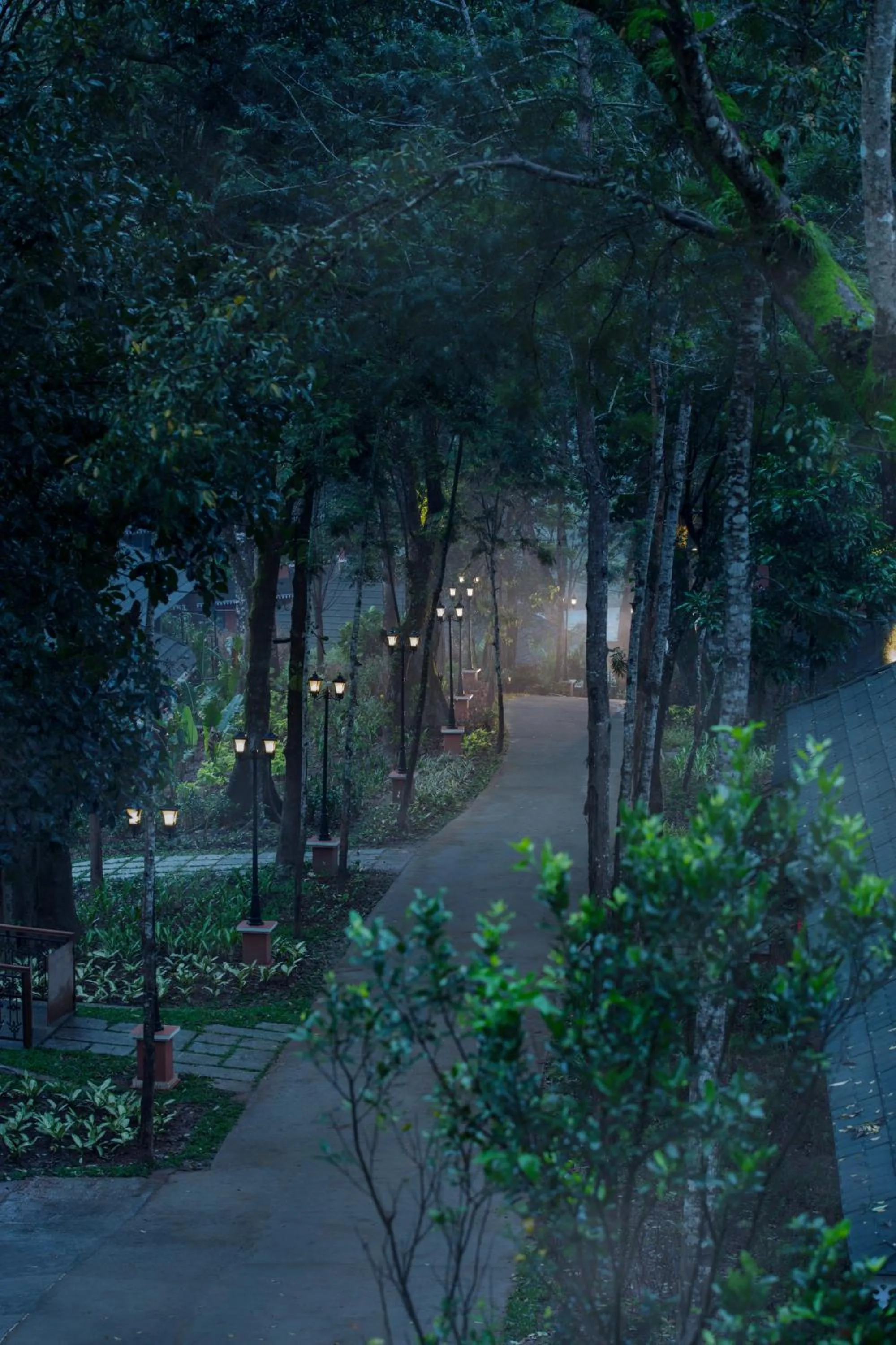 Other in Coorg Wilderness Resort & Spa