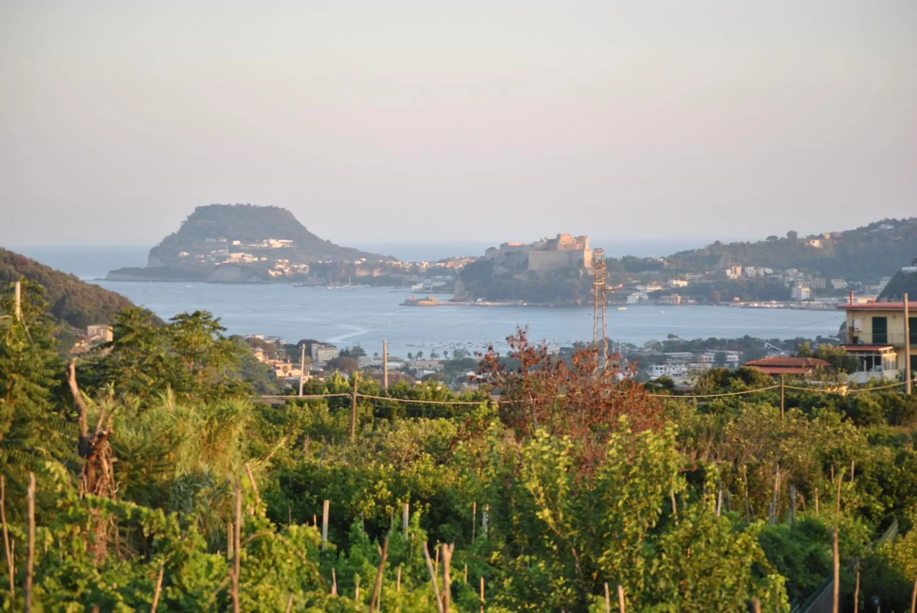 Puteoli house Puteoli house