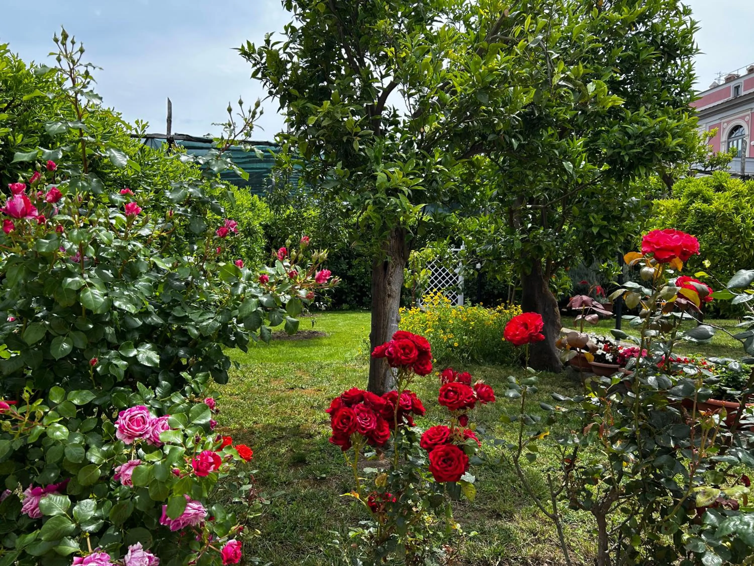 Garden in Baia della Serenità