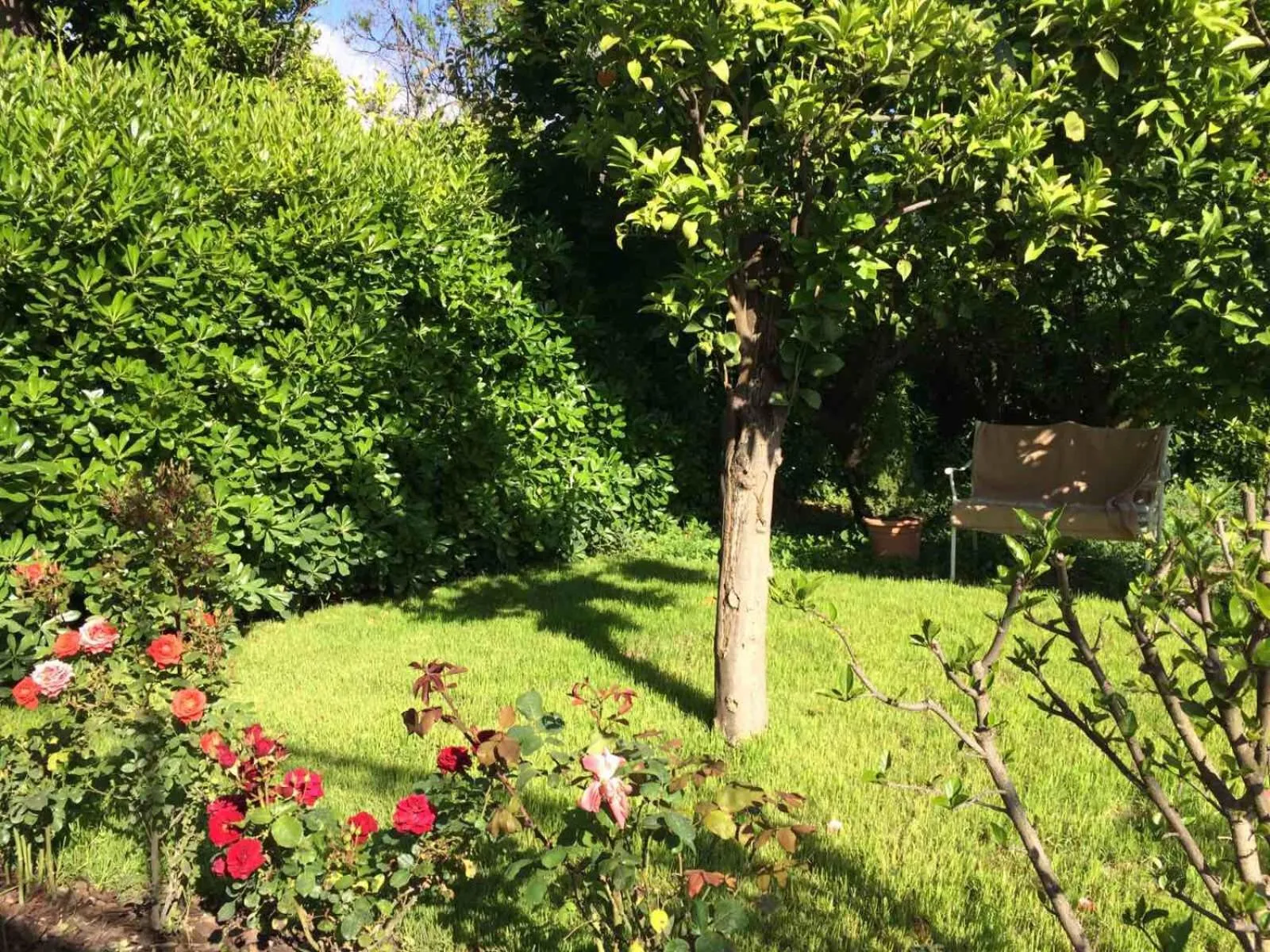 Garden in Baia della Serenità