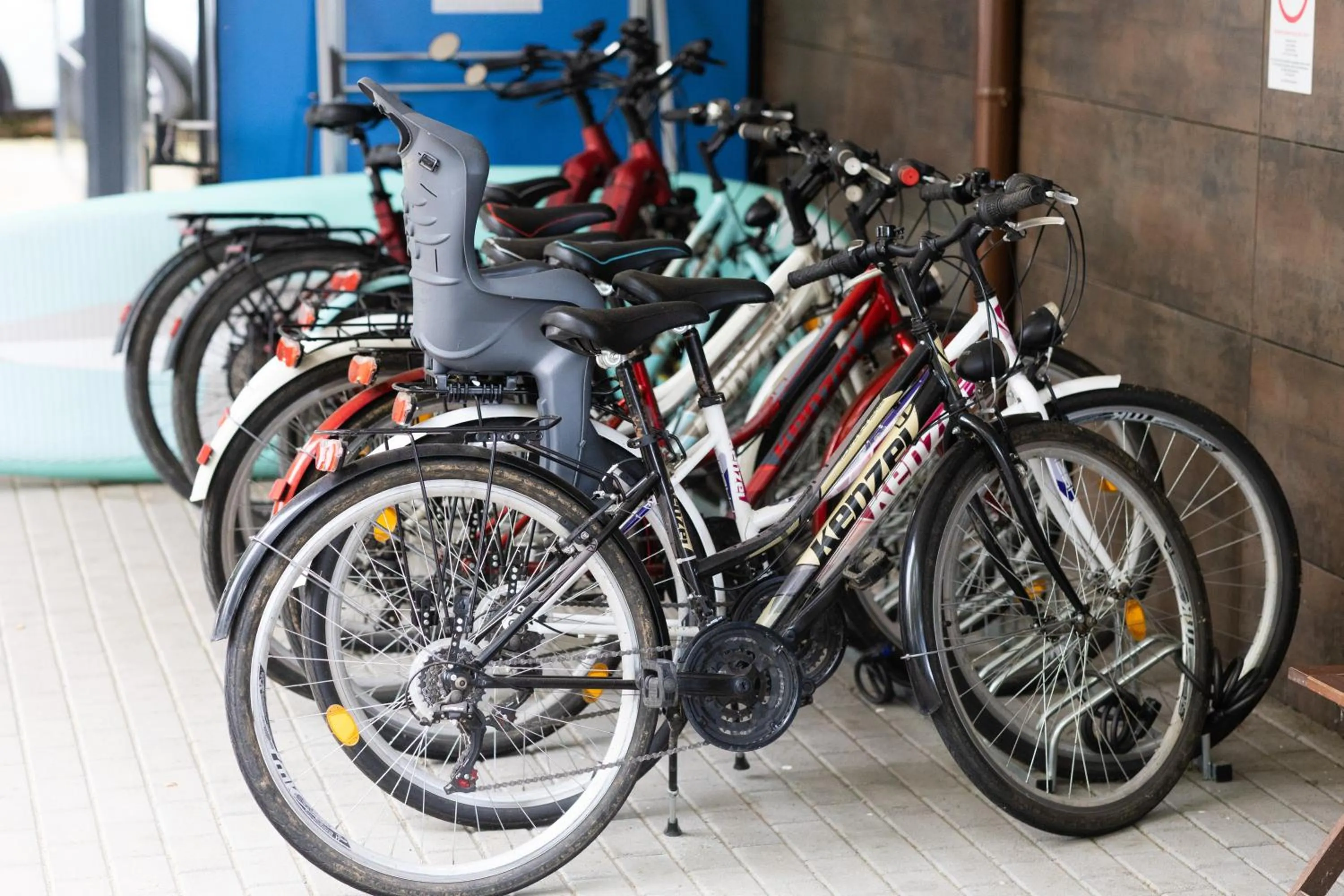Cycling in Zamárdi TOK