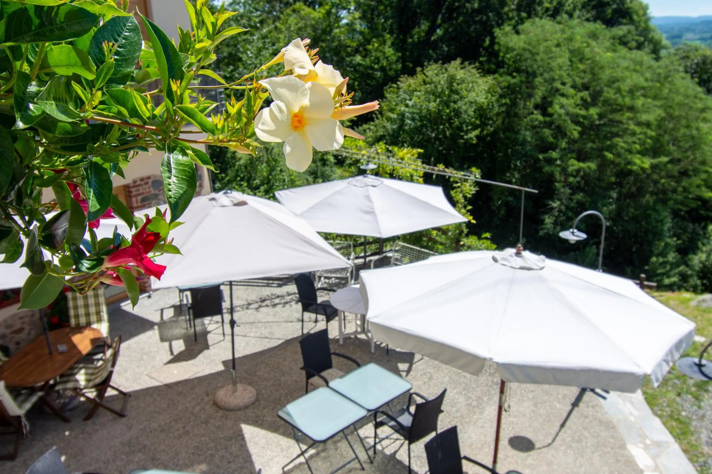 Property building in Ca Montiglio