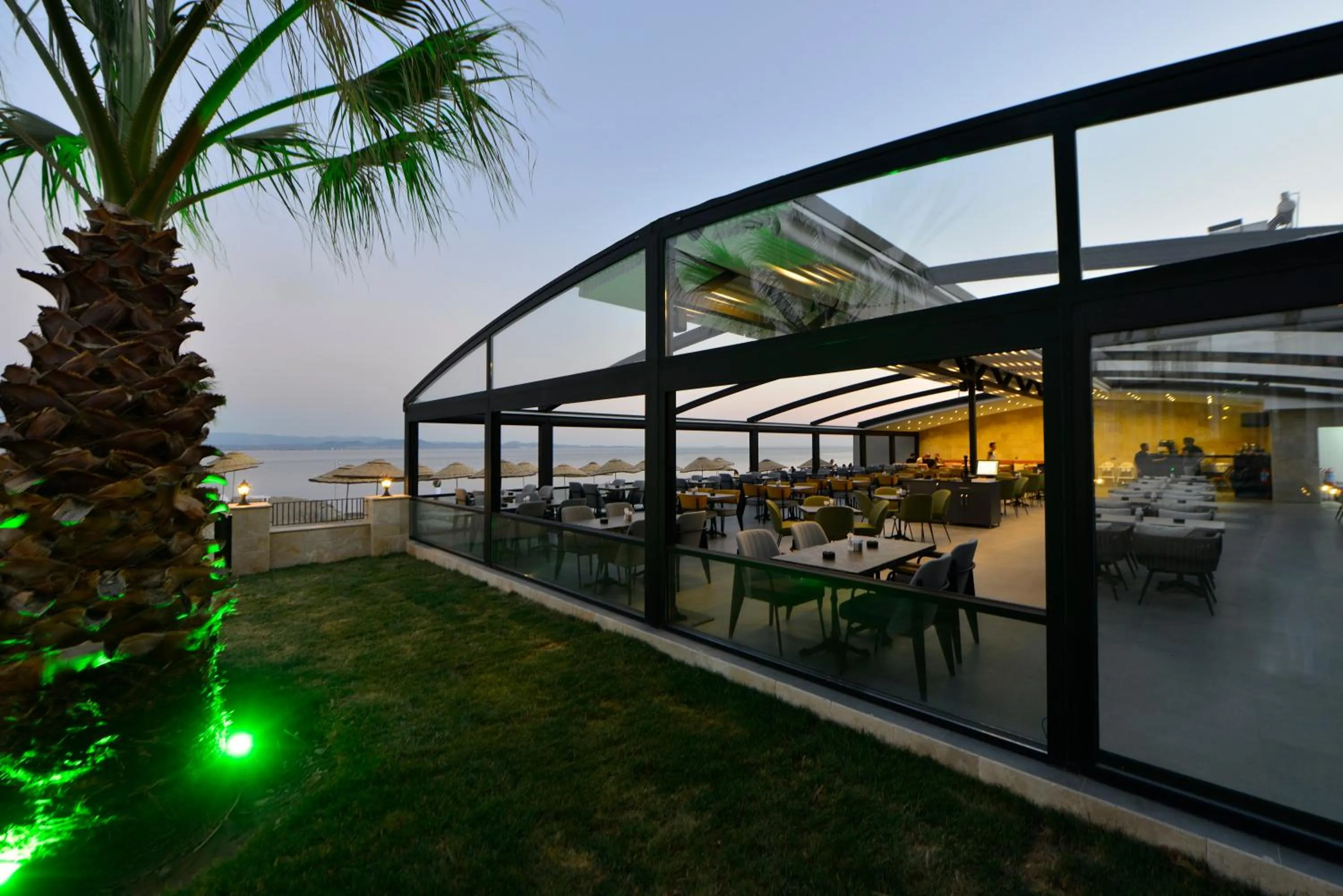 Garden in Room 23 Hotel