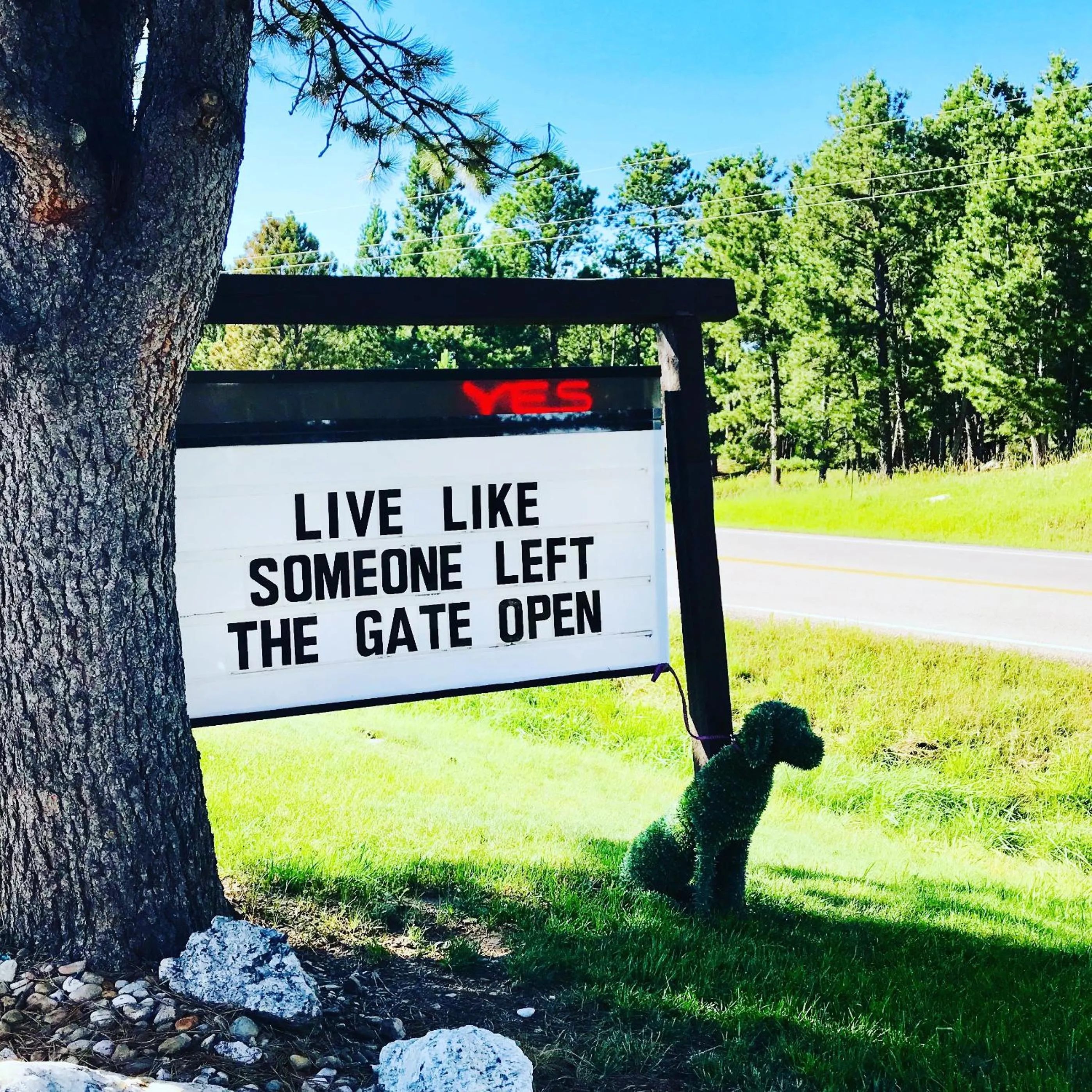 Property logo or sign in Bavarian Inn, Black Hills