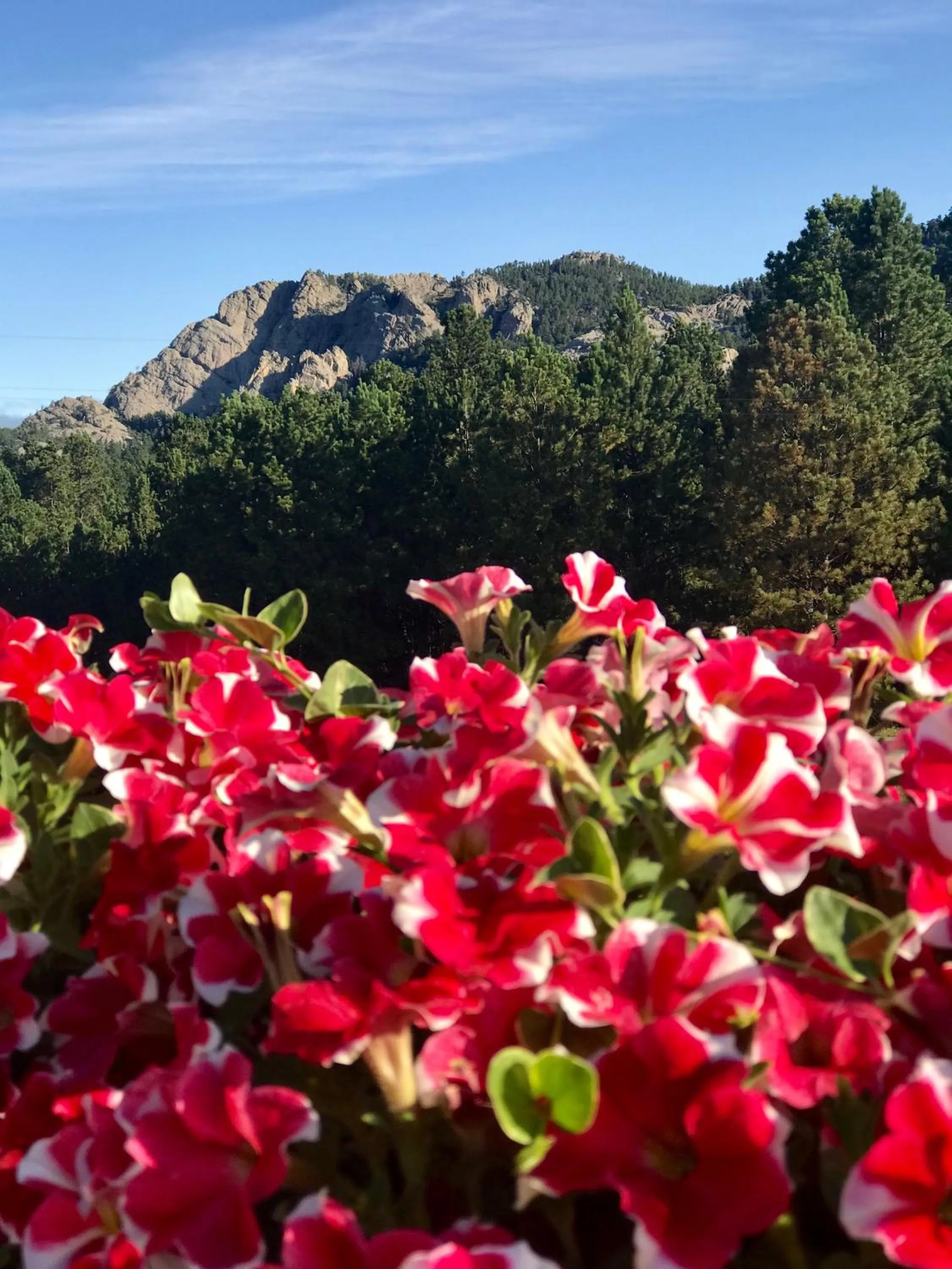 Mountain view in Bavarian Inn, Black Hills