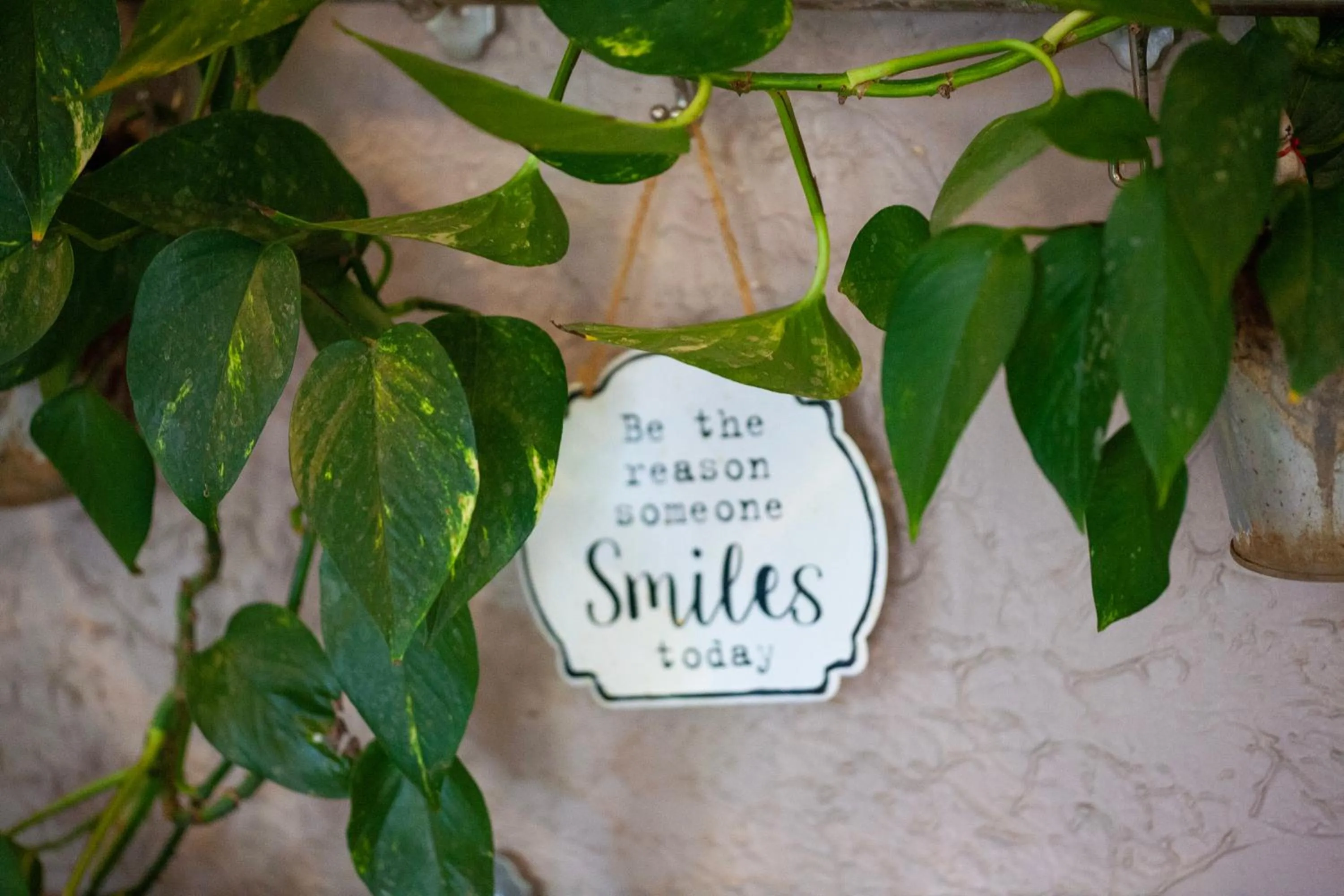 Bavarian Inn, Black Hills