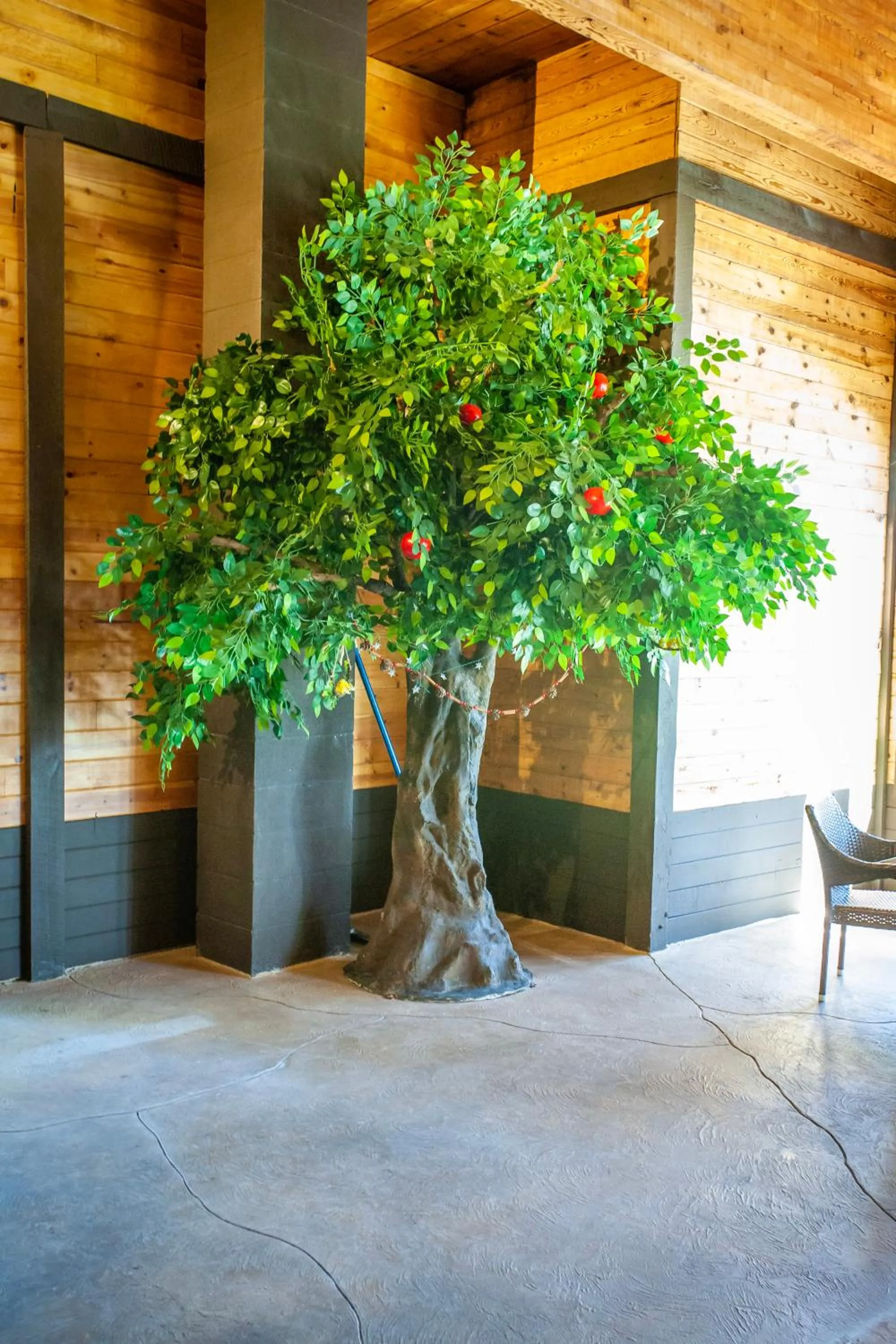 Swimming pool in Bavarian Inn, Black Hills