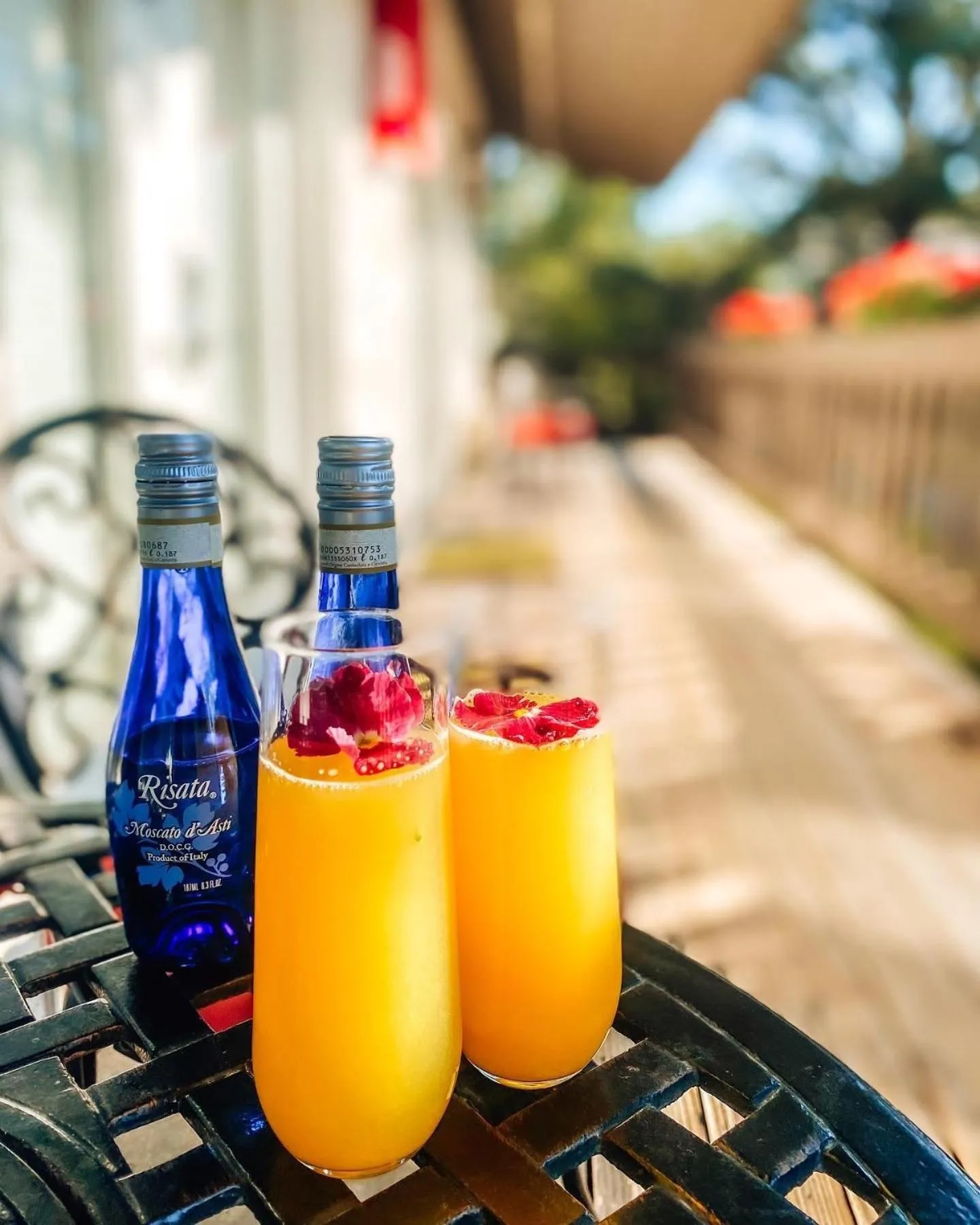 Alcoholic drinks in Bavarian Inn, Black Hills