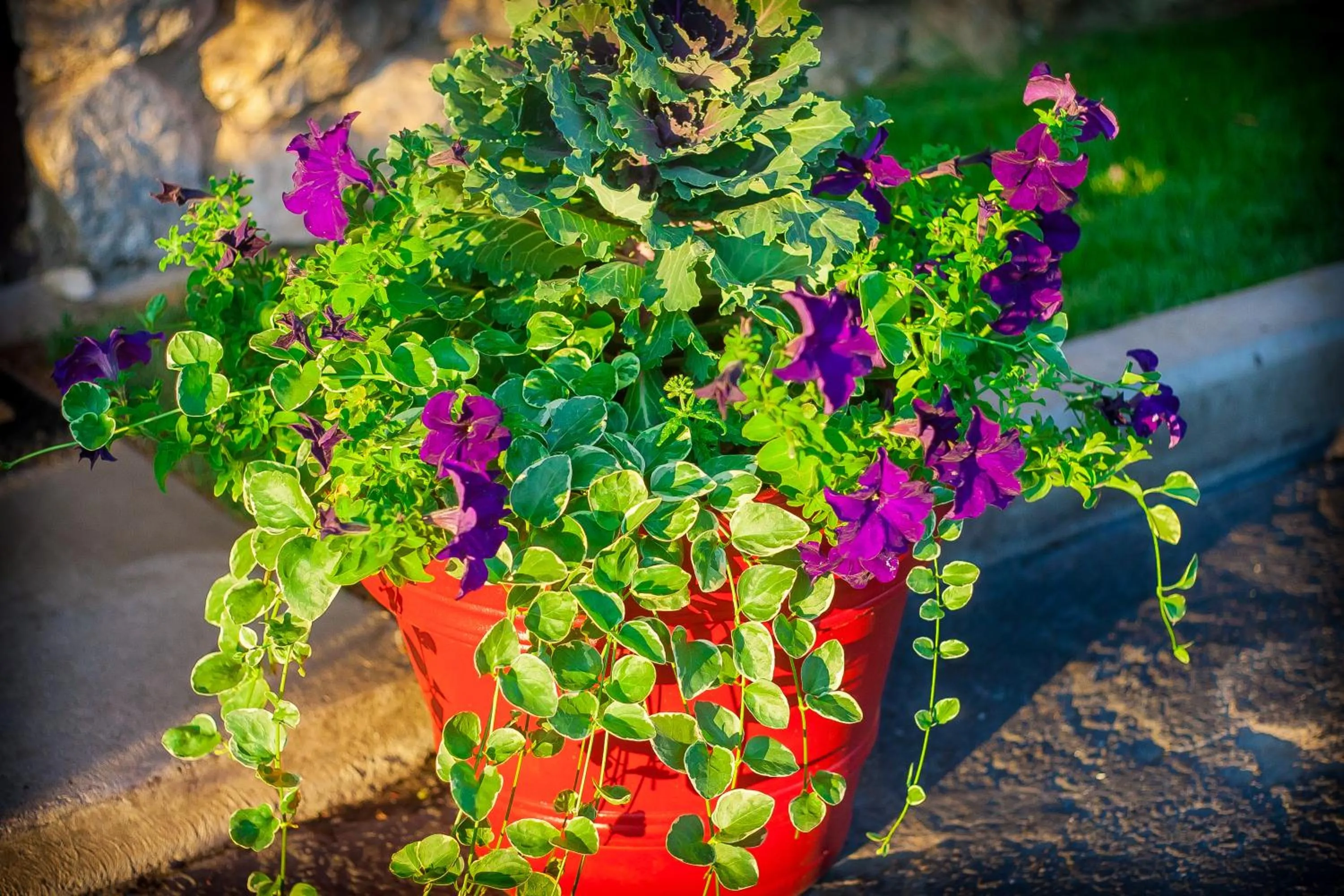 Garden in Bavarian Inn, Black Hills