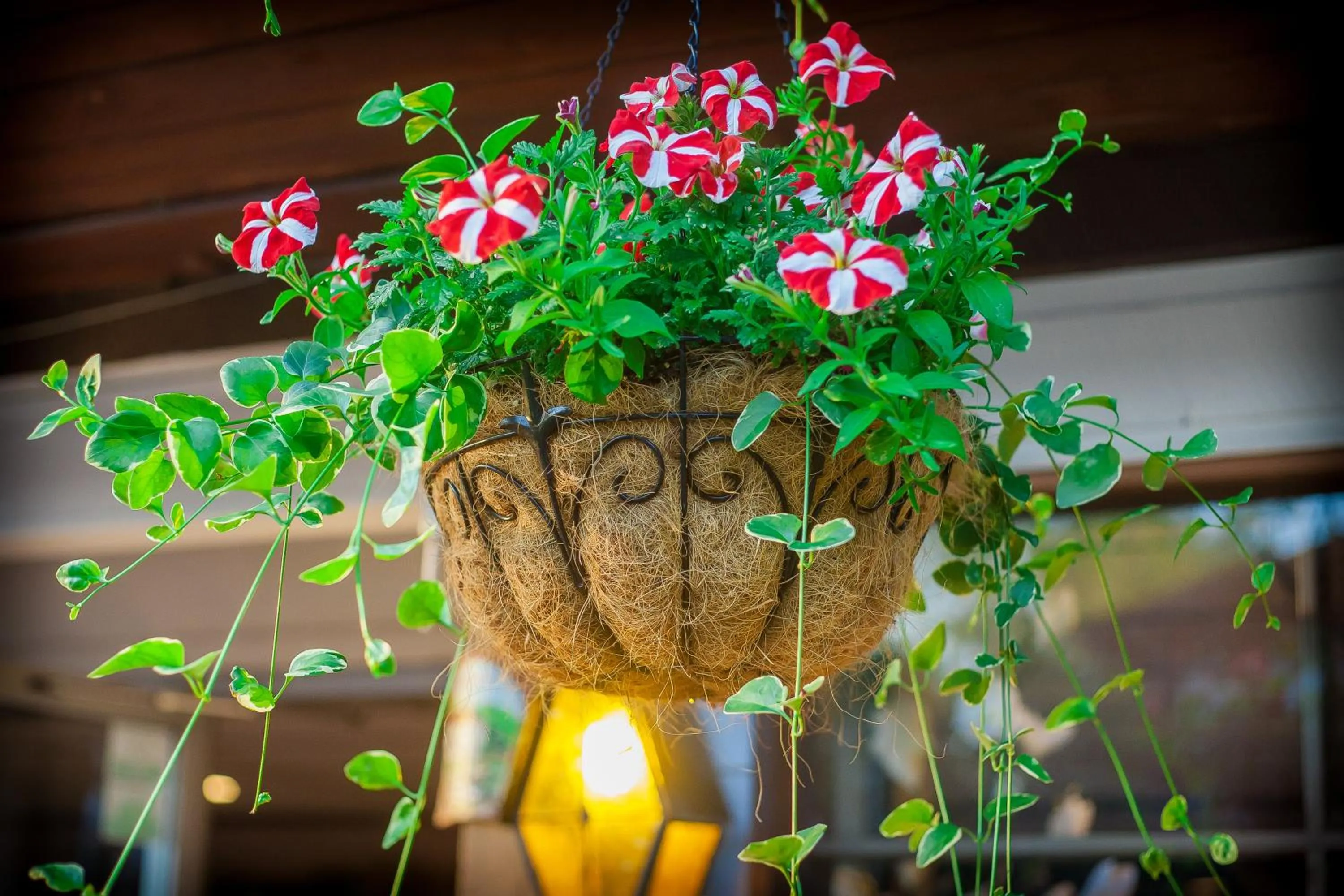 Garden in Bavarian Inn, Black Hills