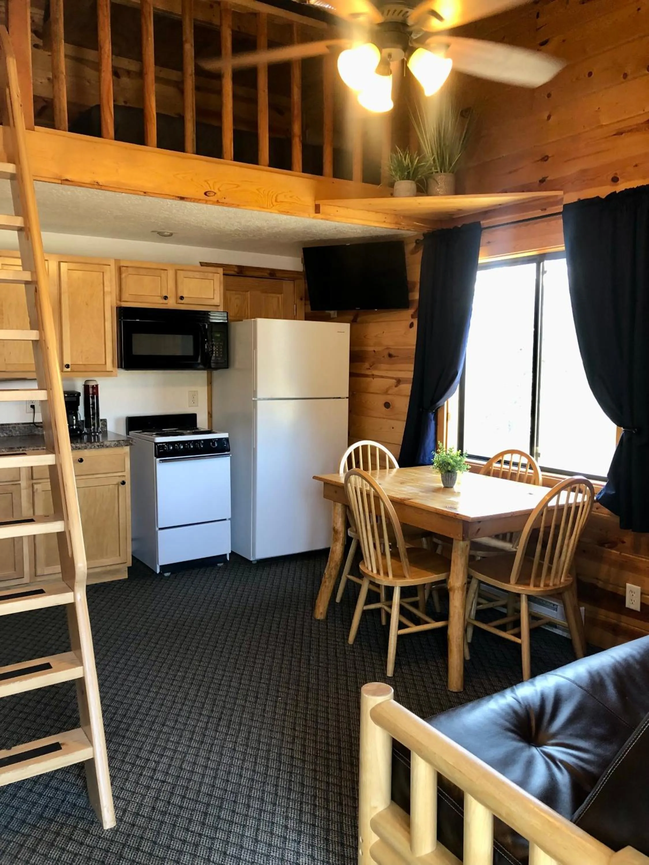 Kitchen or kitchenette in Mountain View Lodge & Cabins