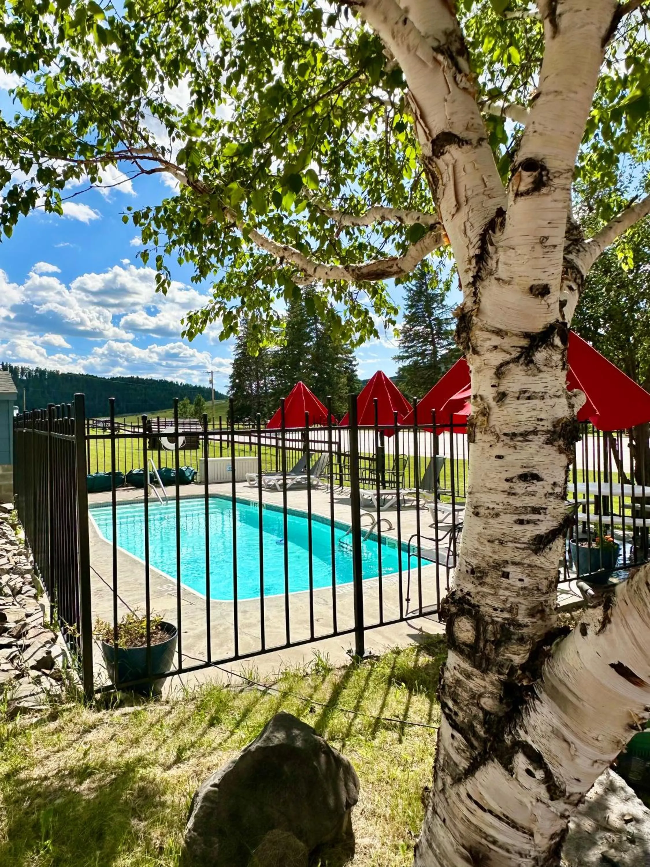 Mountain View Lodge & Cabins