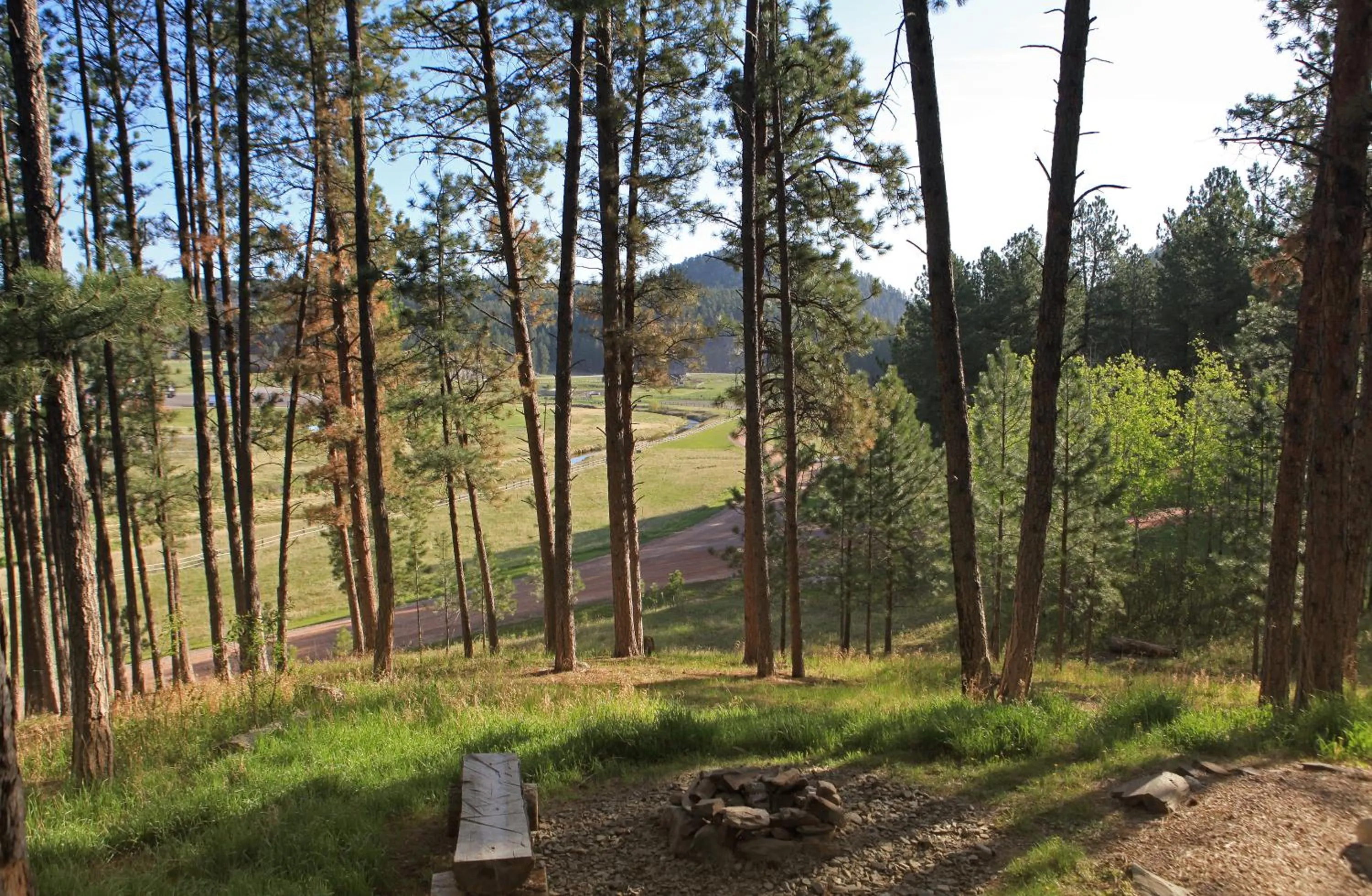 Bird's eye view in Mountain View Lodge & Cabins