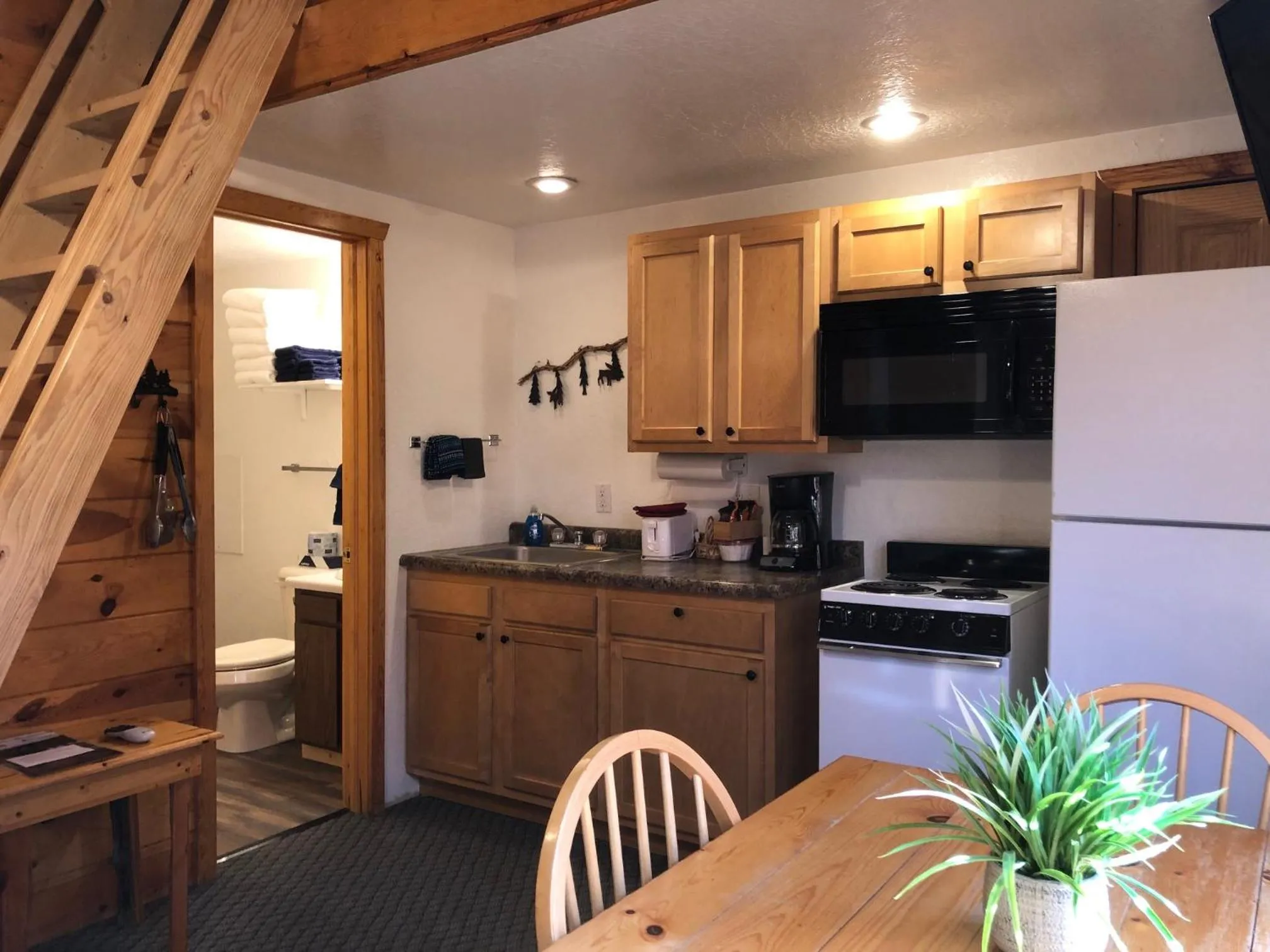 Kitchen or kitchenette in Mountain View Lodge & Cabins