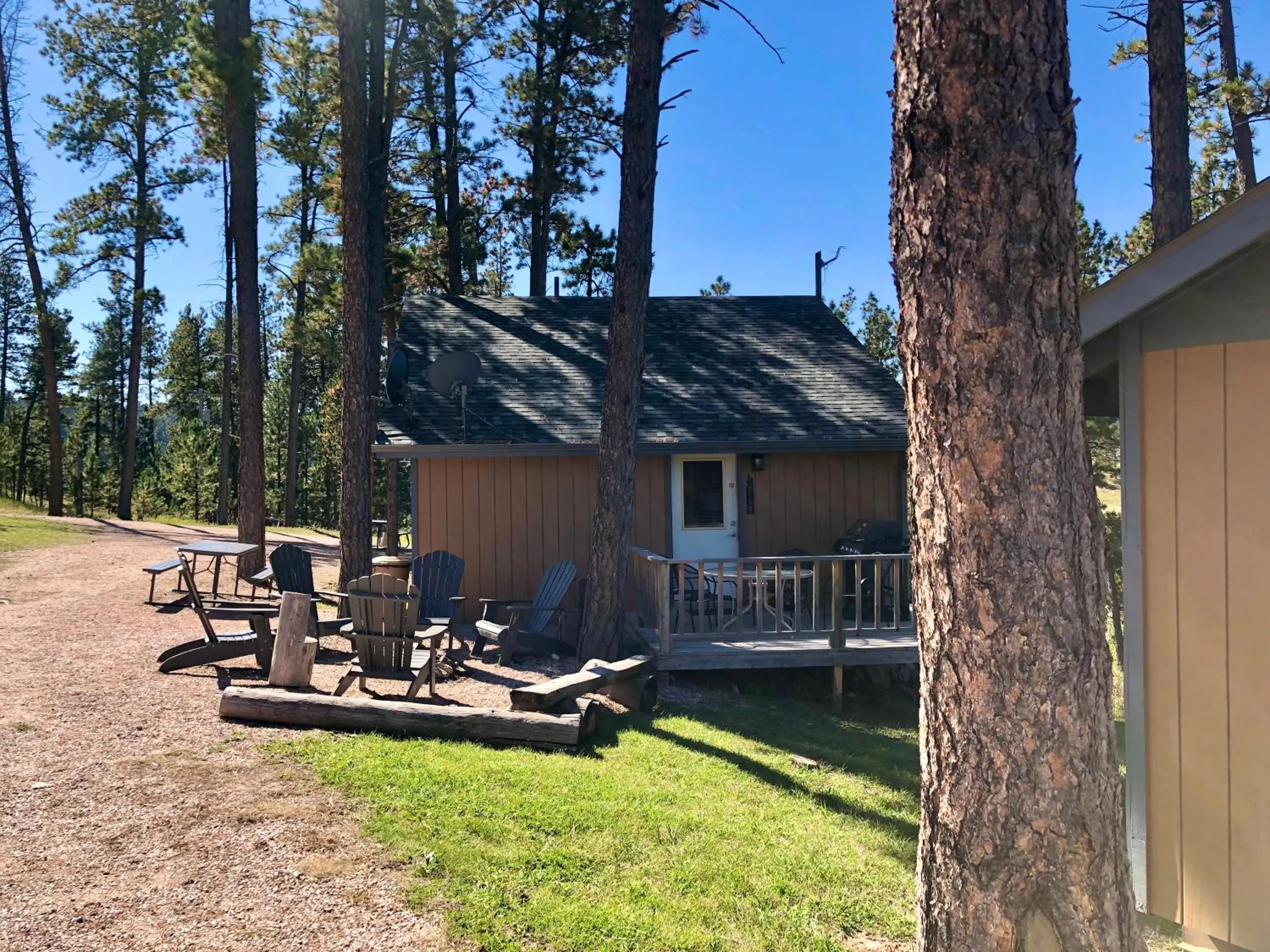 Day in Mountain View Lodge & Cabins