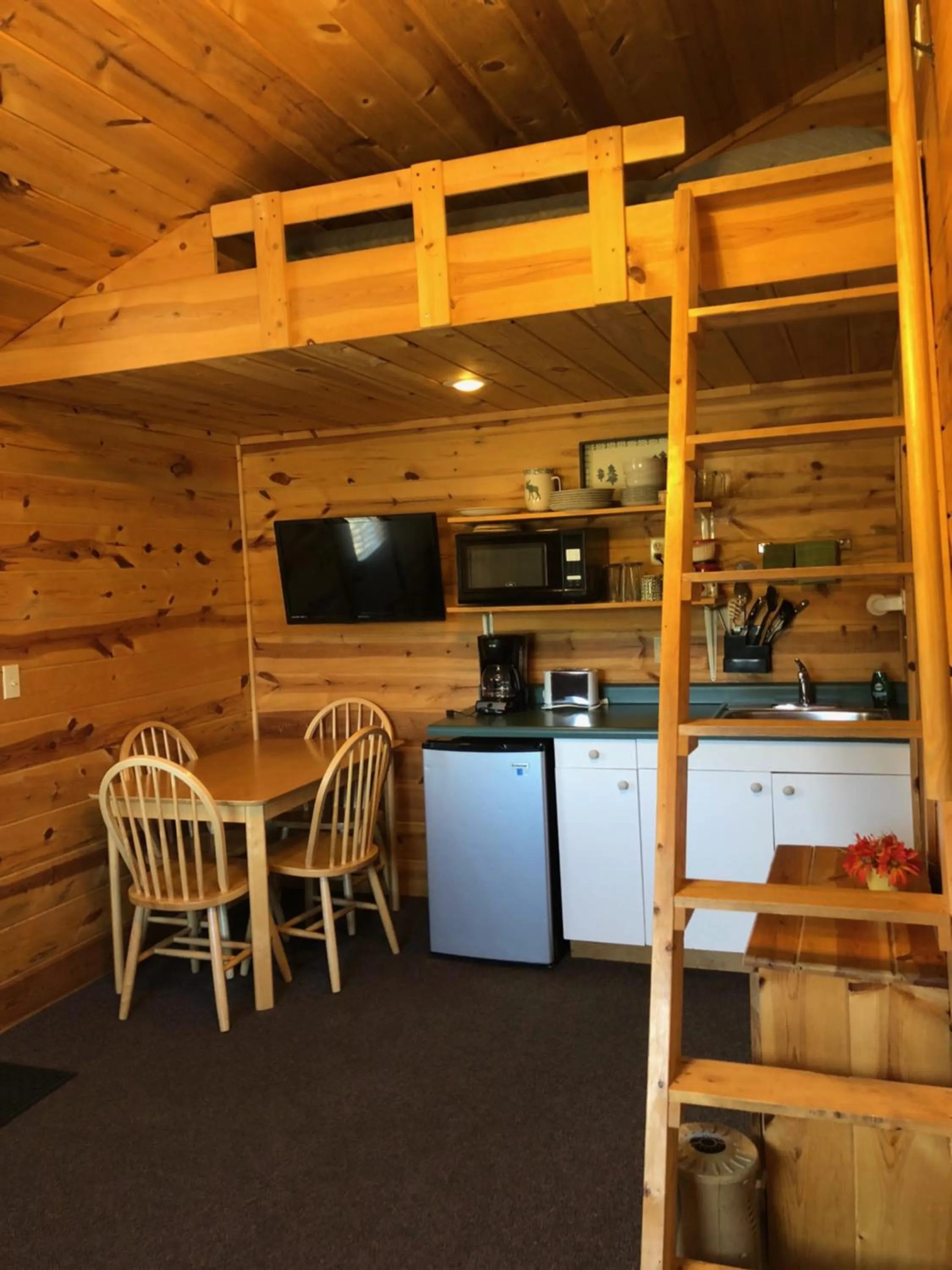 Kitchen or kitchenette in Mountain View Lodge & Cabins