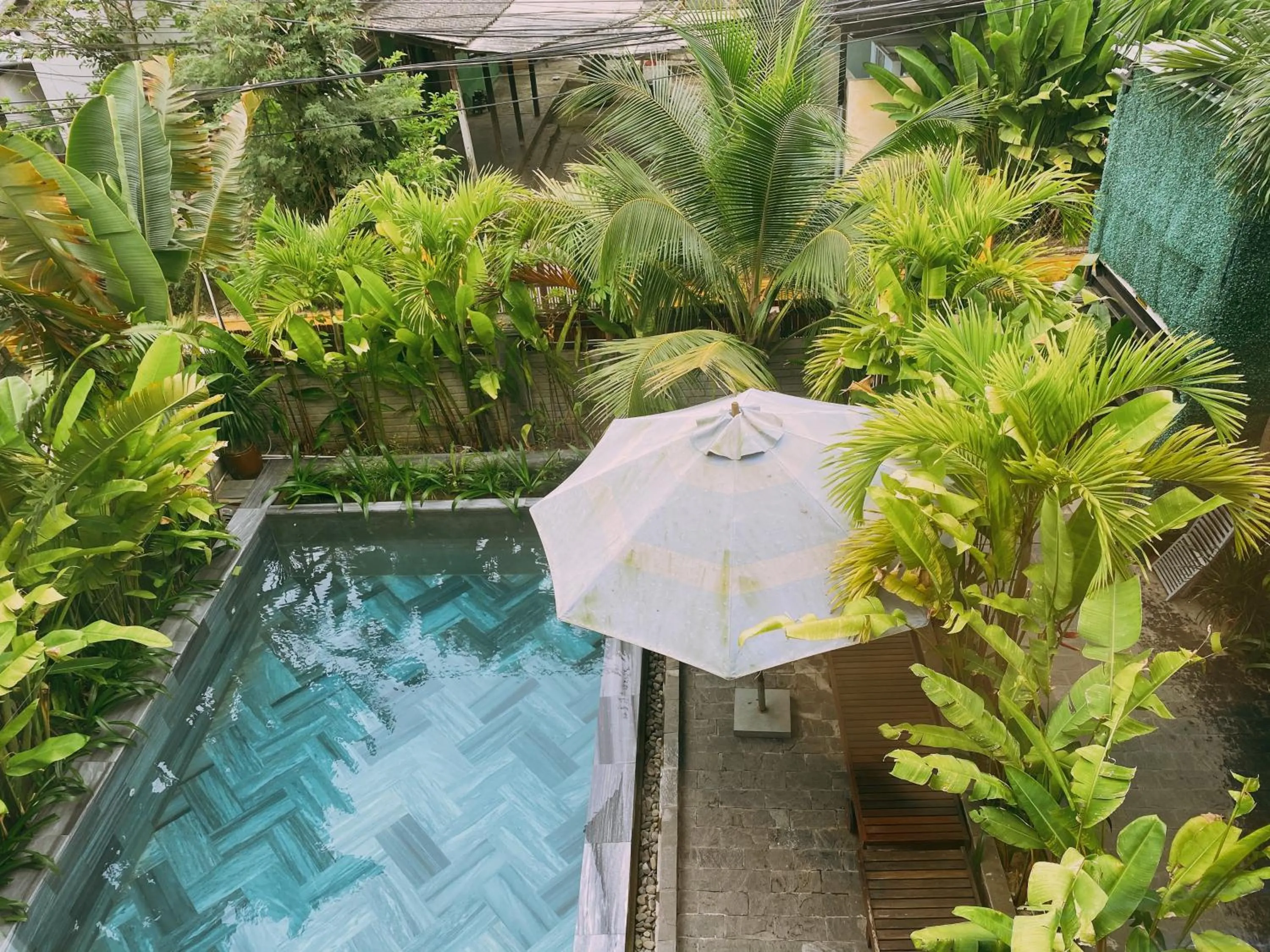 Swimming pool in Tropical Home Villa