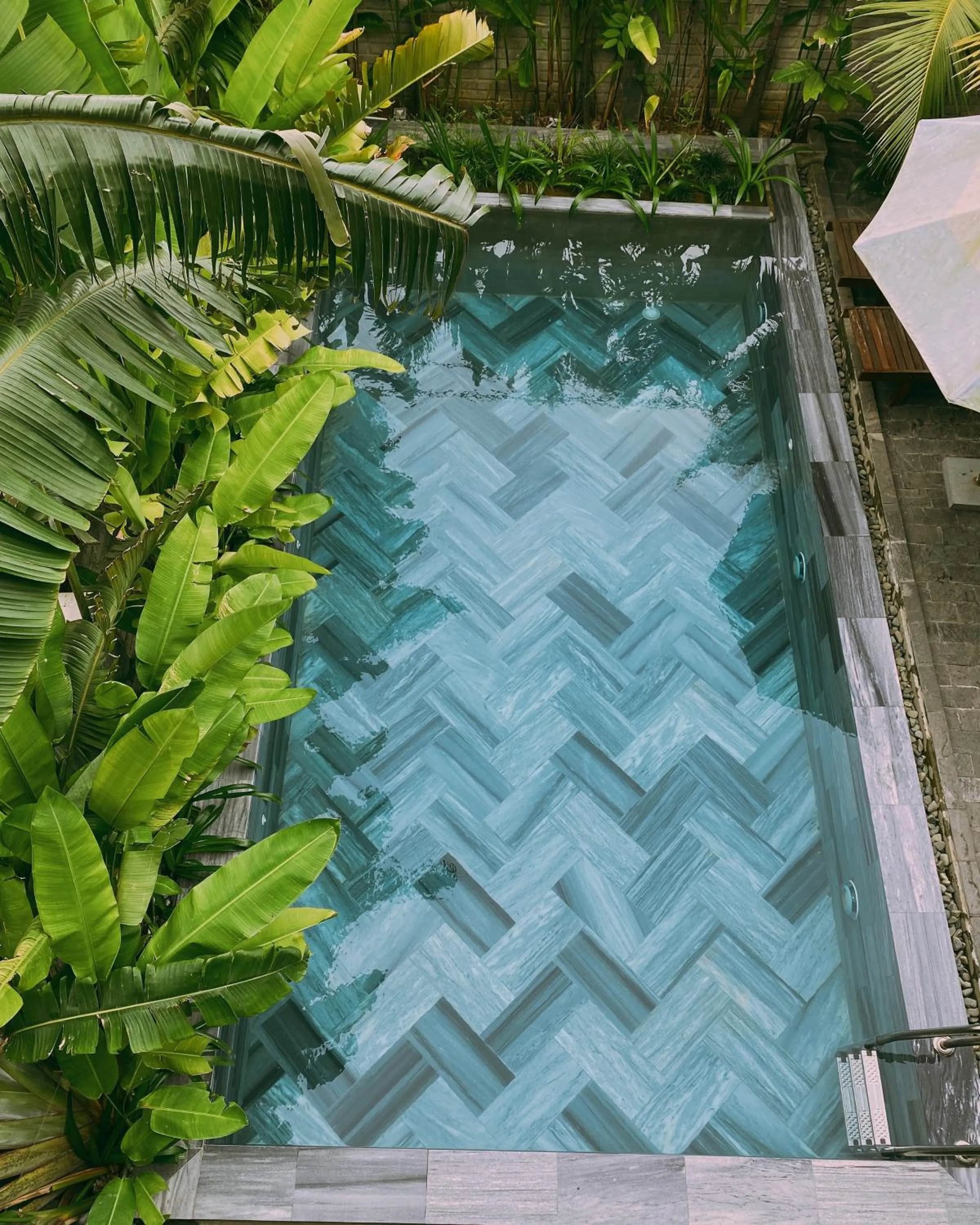 Swimming pool in Tropical Home Villa