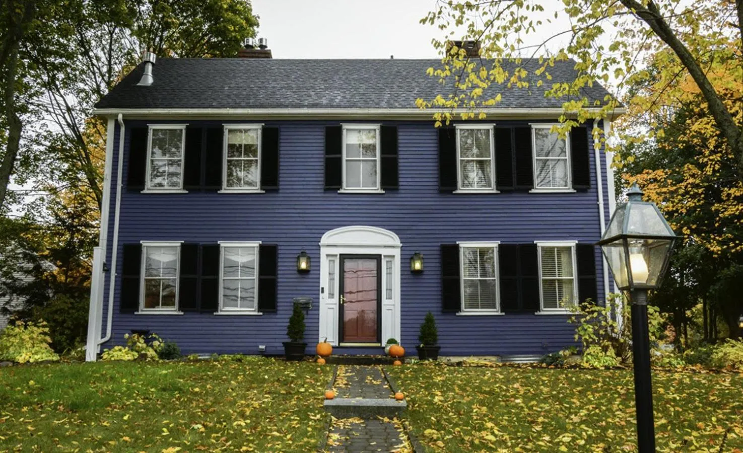 Property building in Elms of Camden