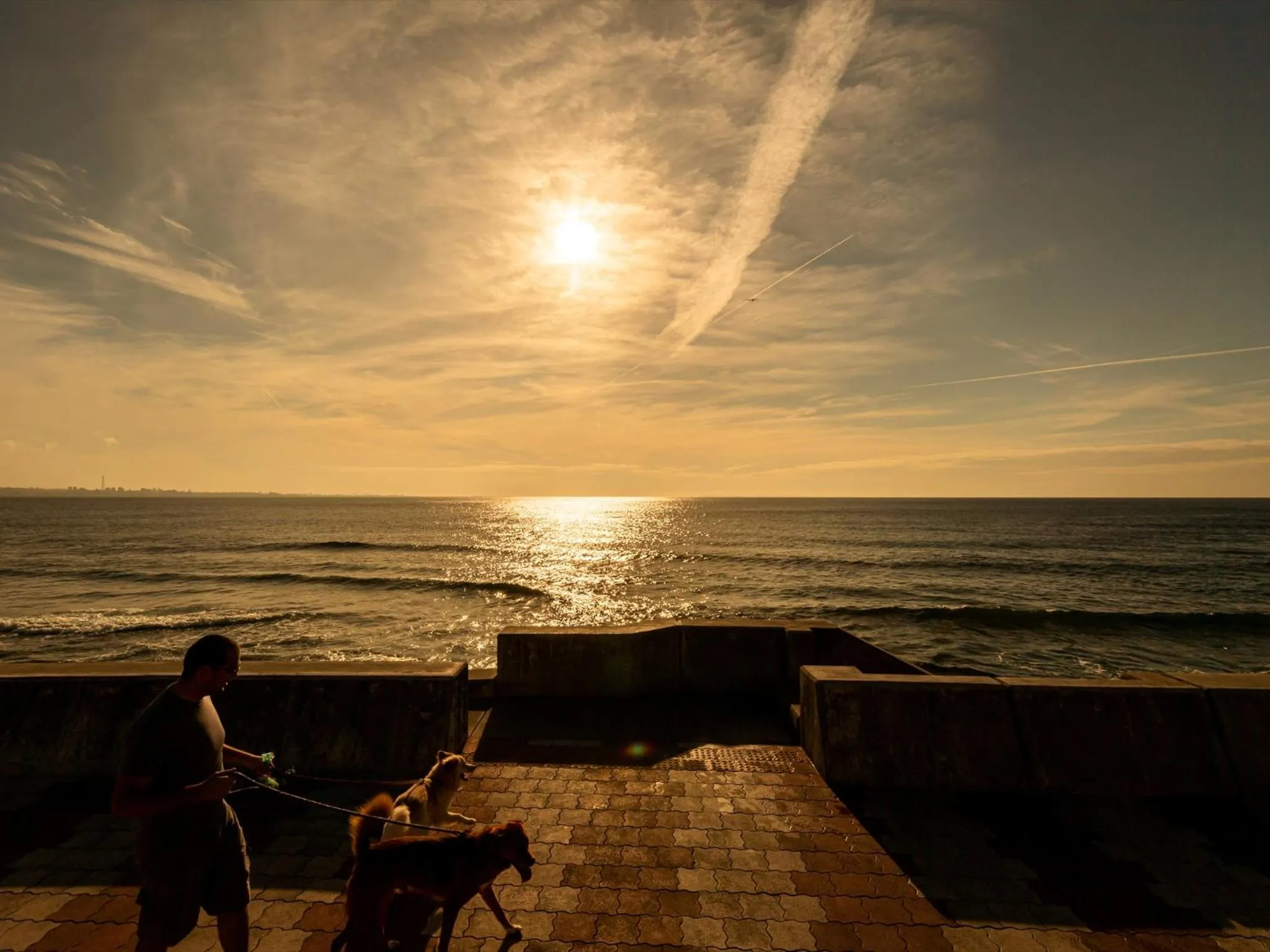 Neighbourhood in The Moana