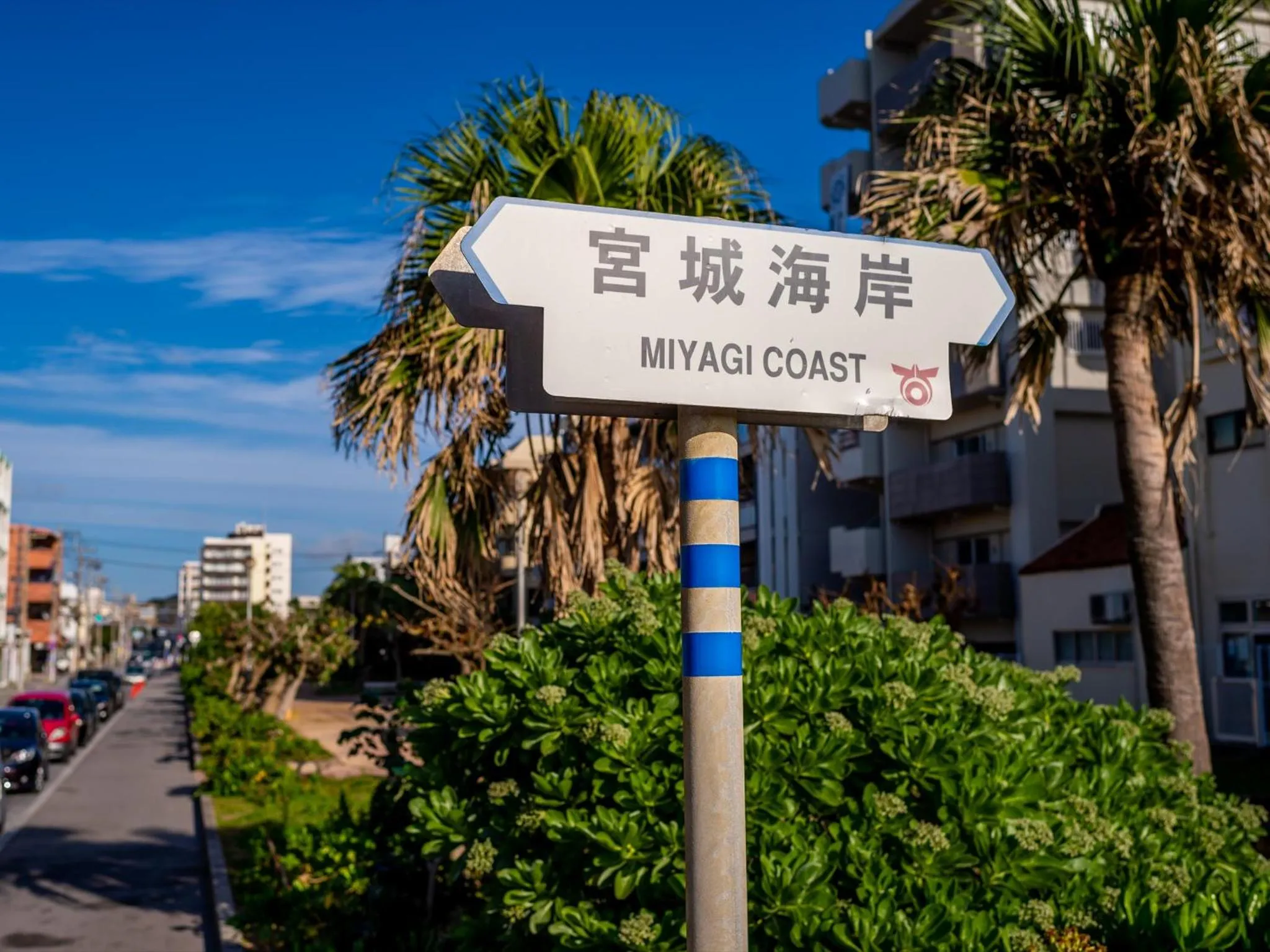 Neighbourhood in The Moana