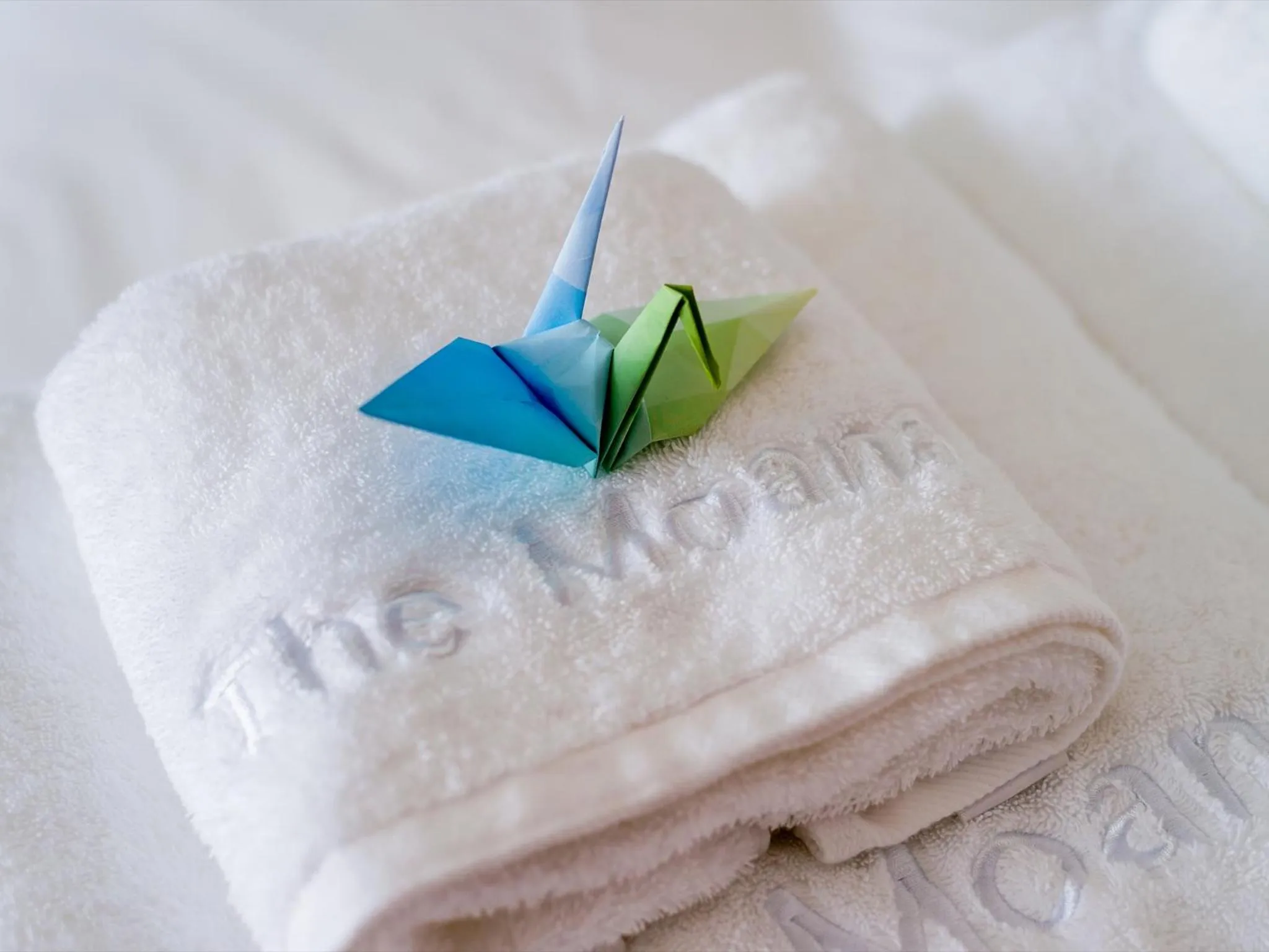 Photo of the whole room, Bed in The Moana